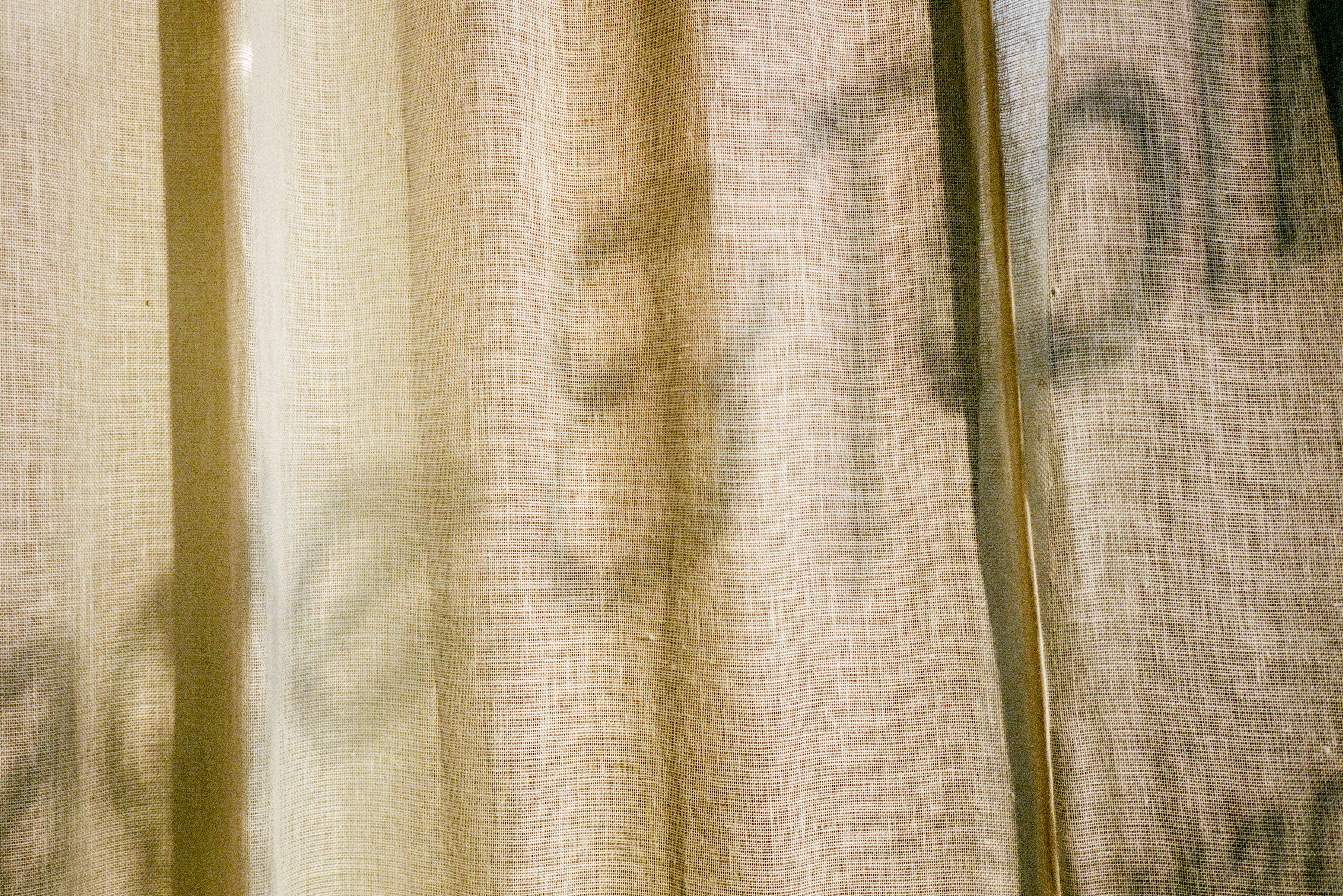 Gt Order Reed 35mm 085