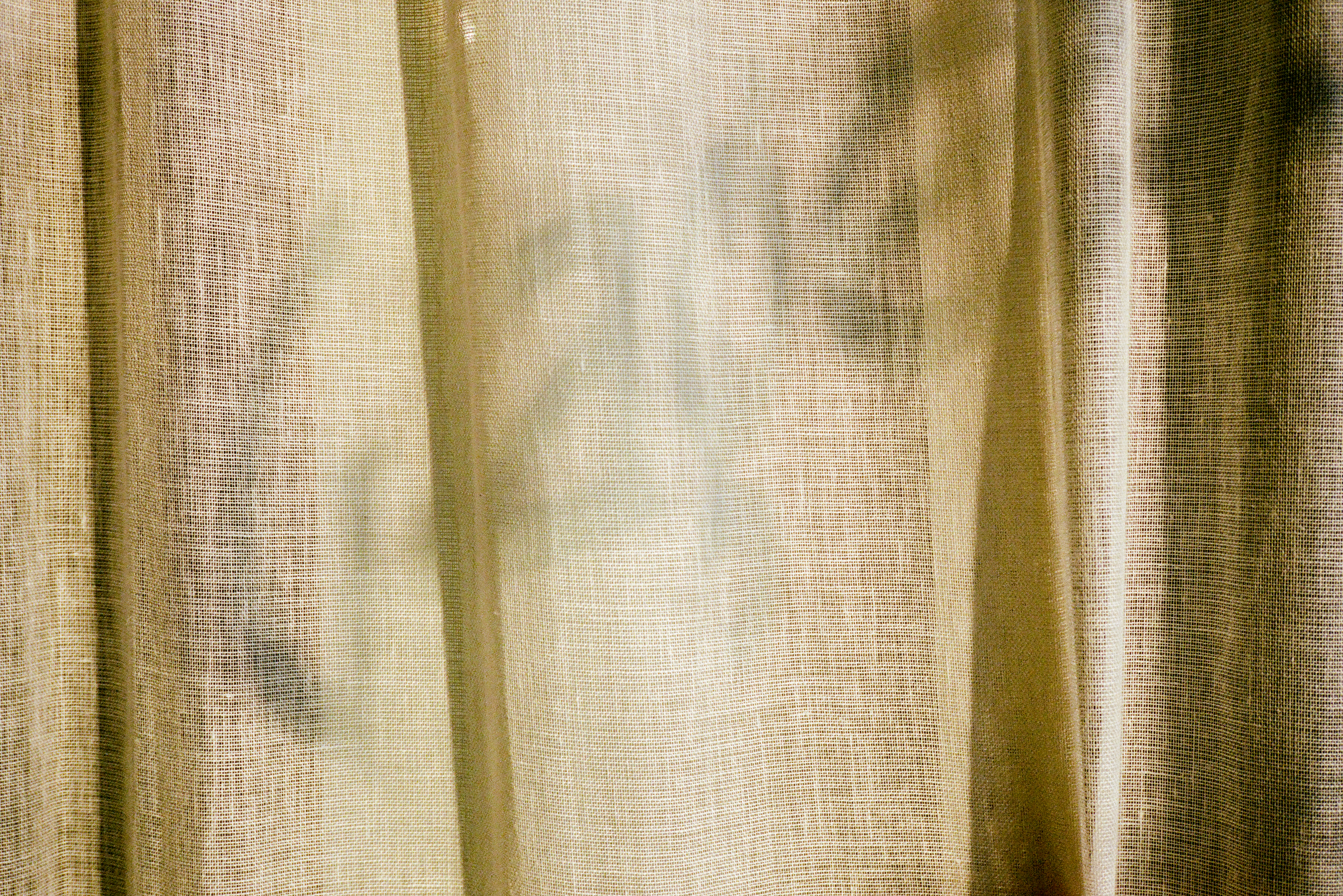 Gt Order Reed 35mm 087