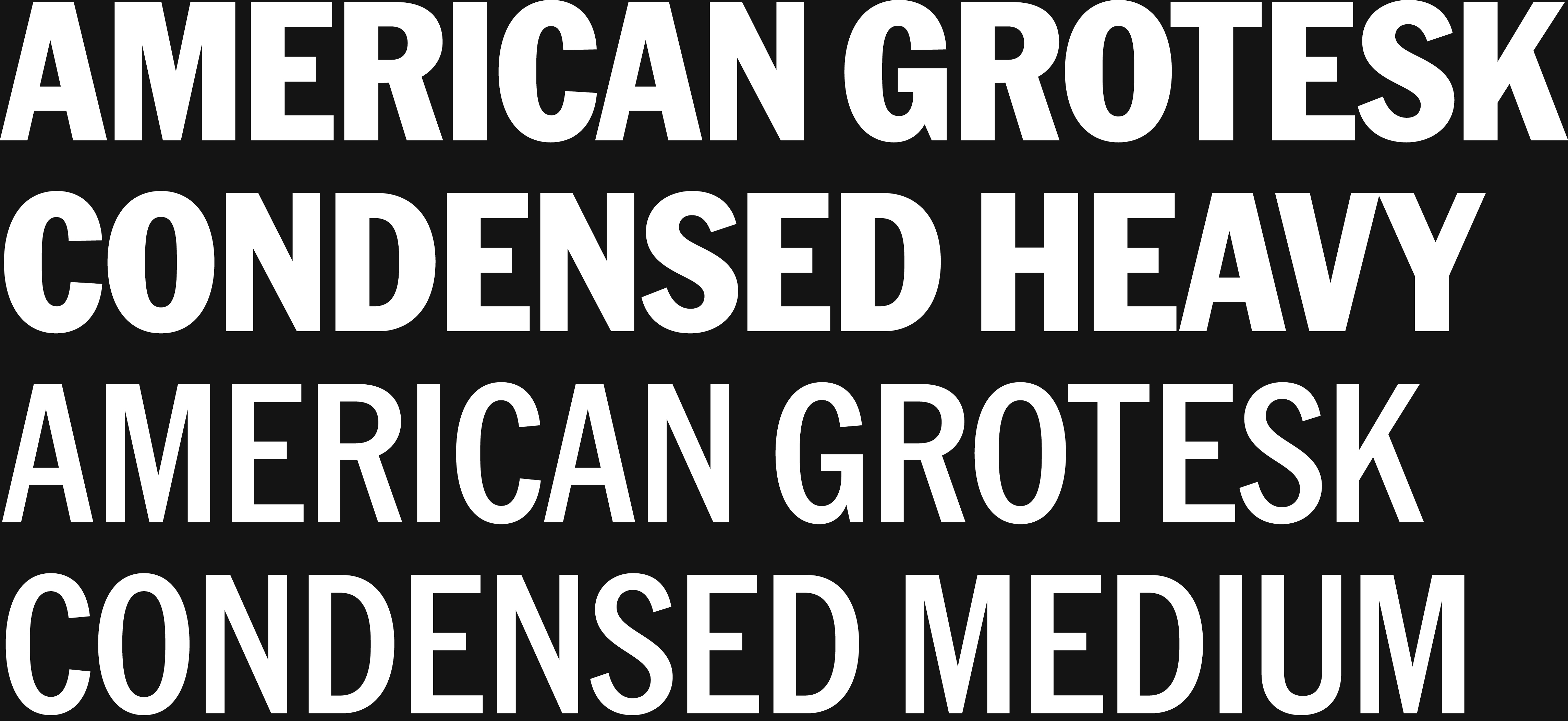 ORDER WEBSITE ASSETS REM18