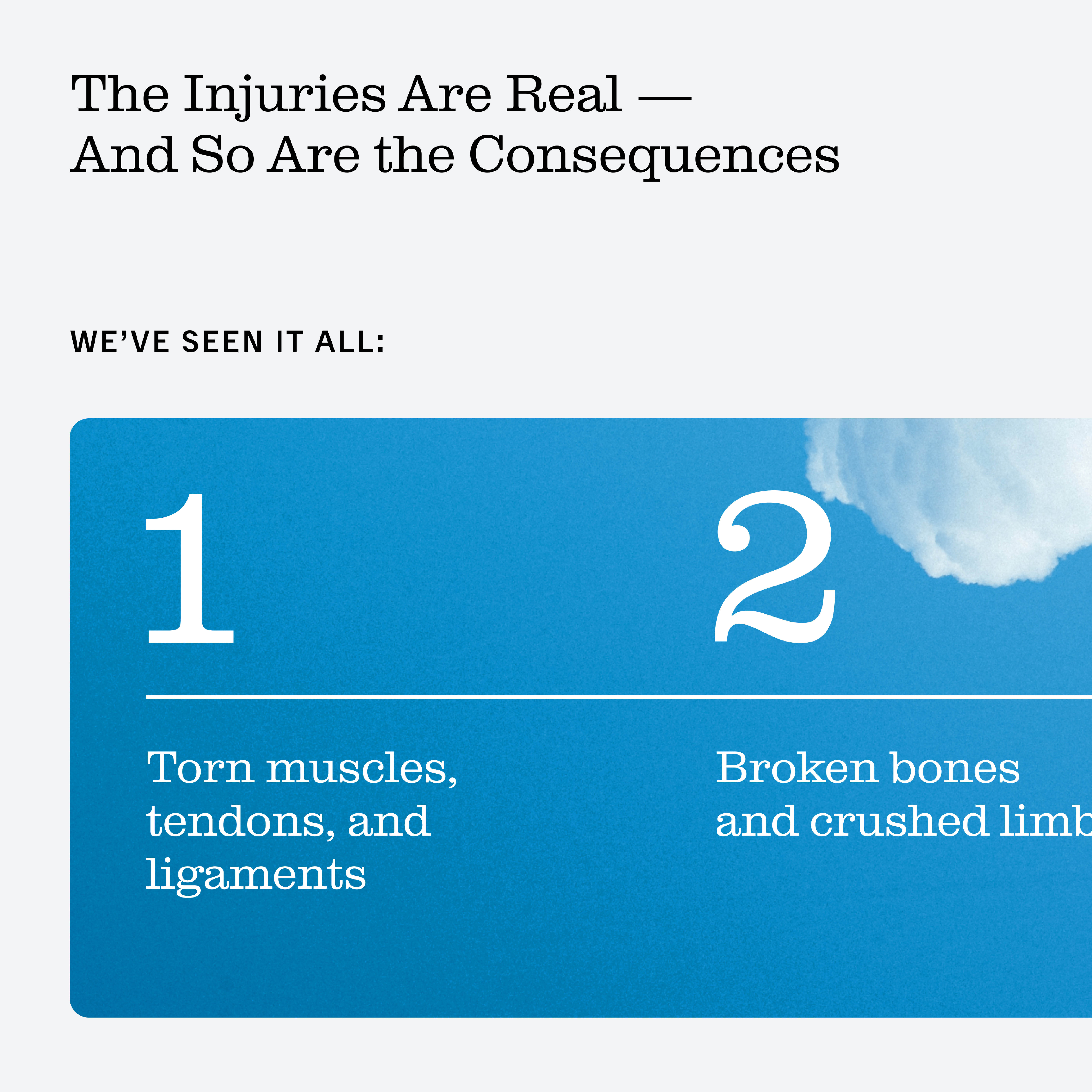 ORDER WEBSITE ASSETS 03 SQR SCHWARTZAPFEL 7