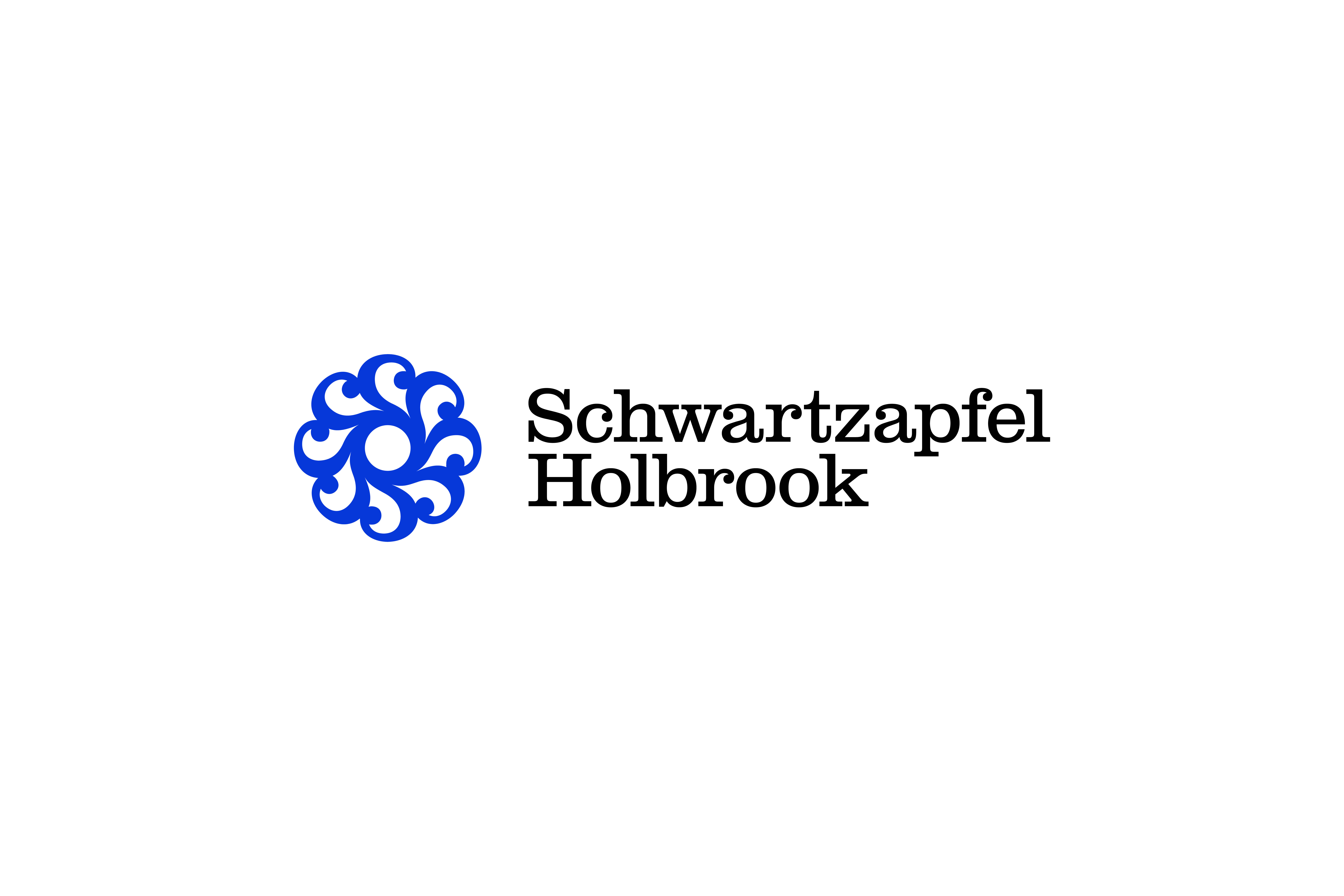 ORDER WEBSITE ASSETS REC SCHWARTZAPFEL7