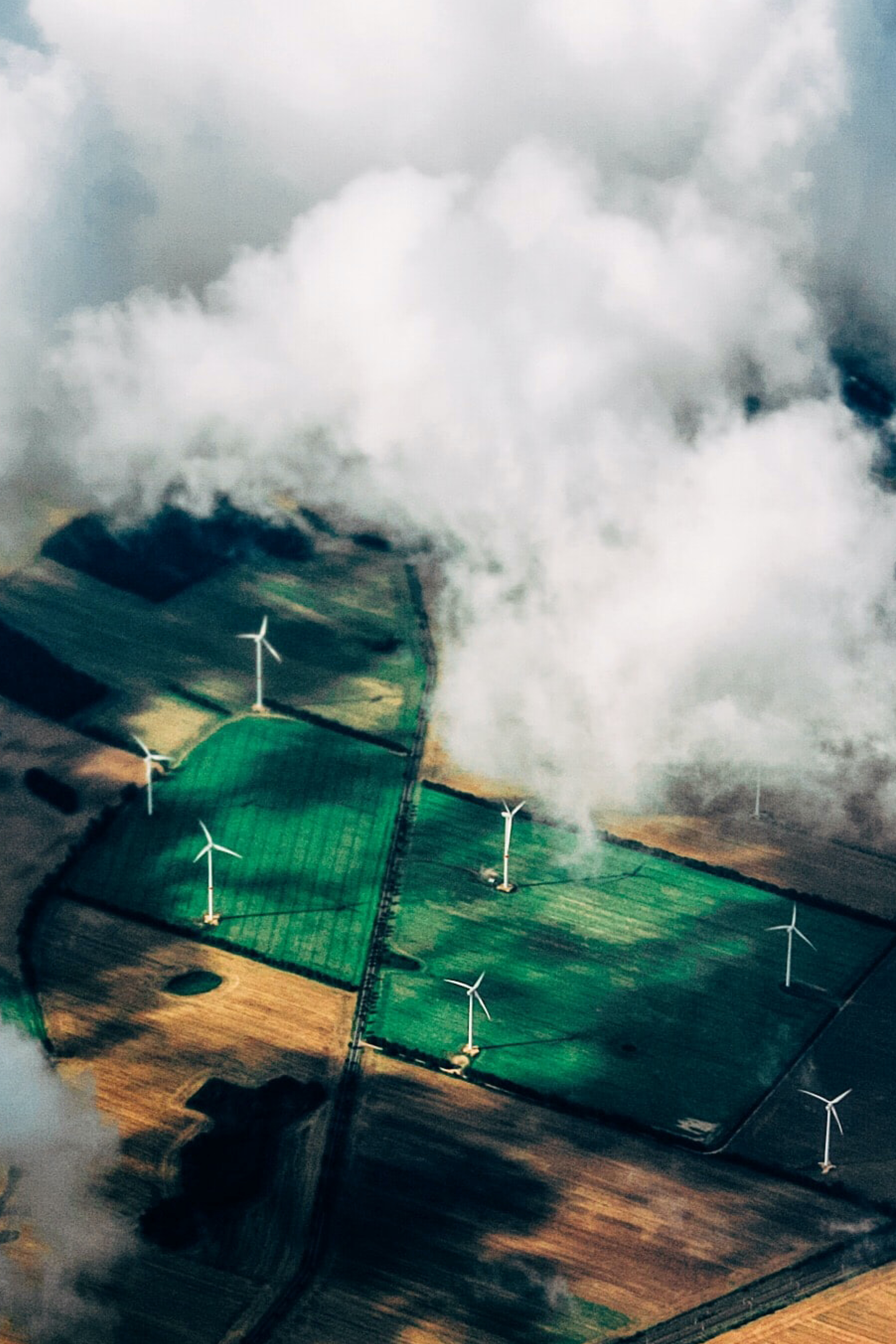 Order Website Assets Crux16