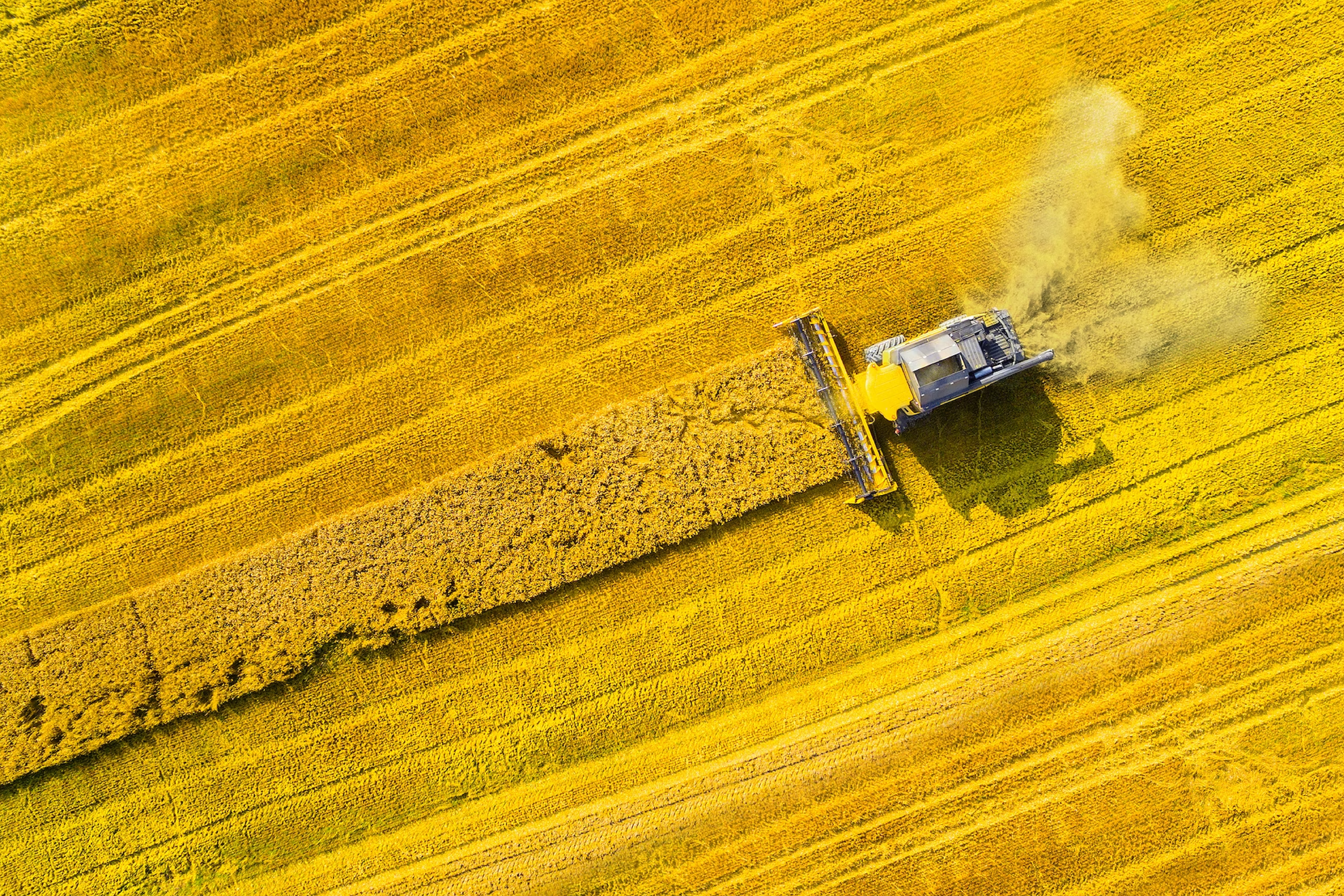 Order Website Assets Crux3