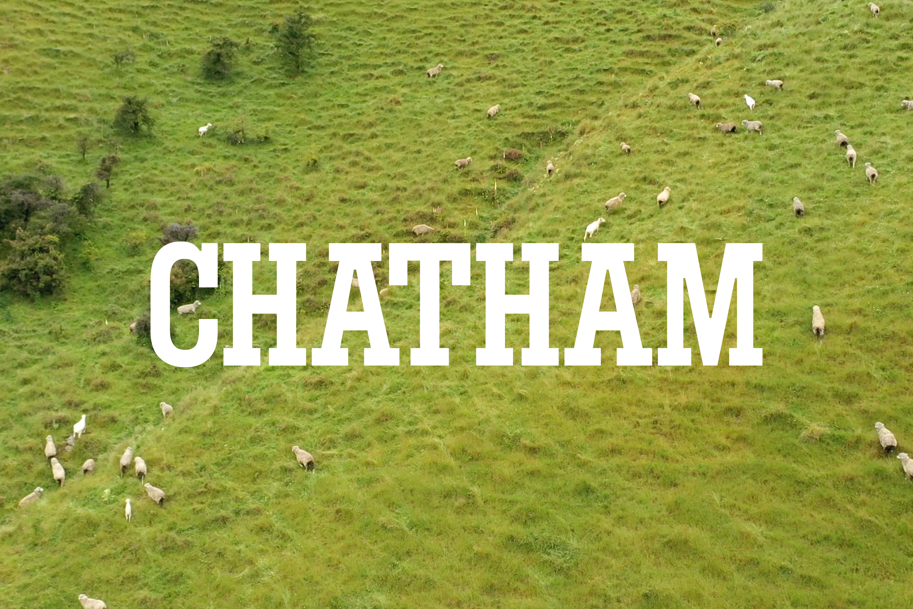 Chatham Website 114