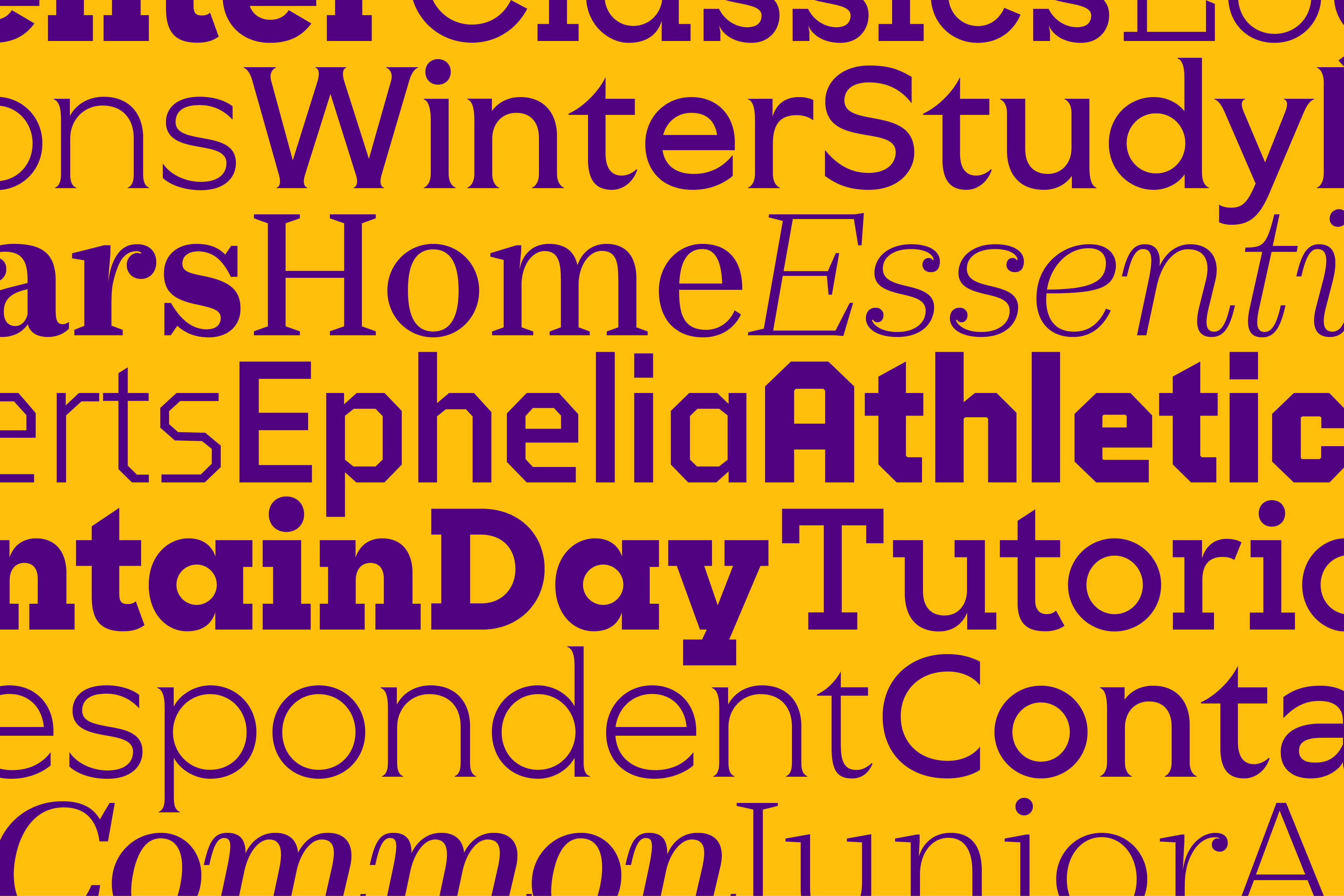 Williams Casestudy Rectangle 1280px12 2