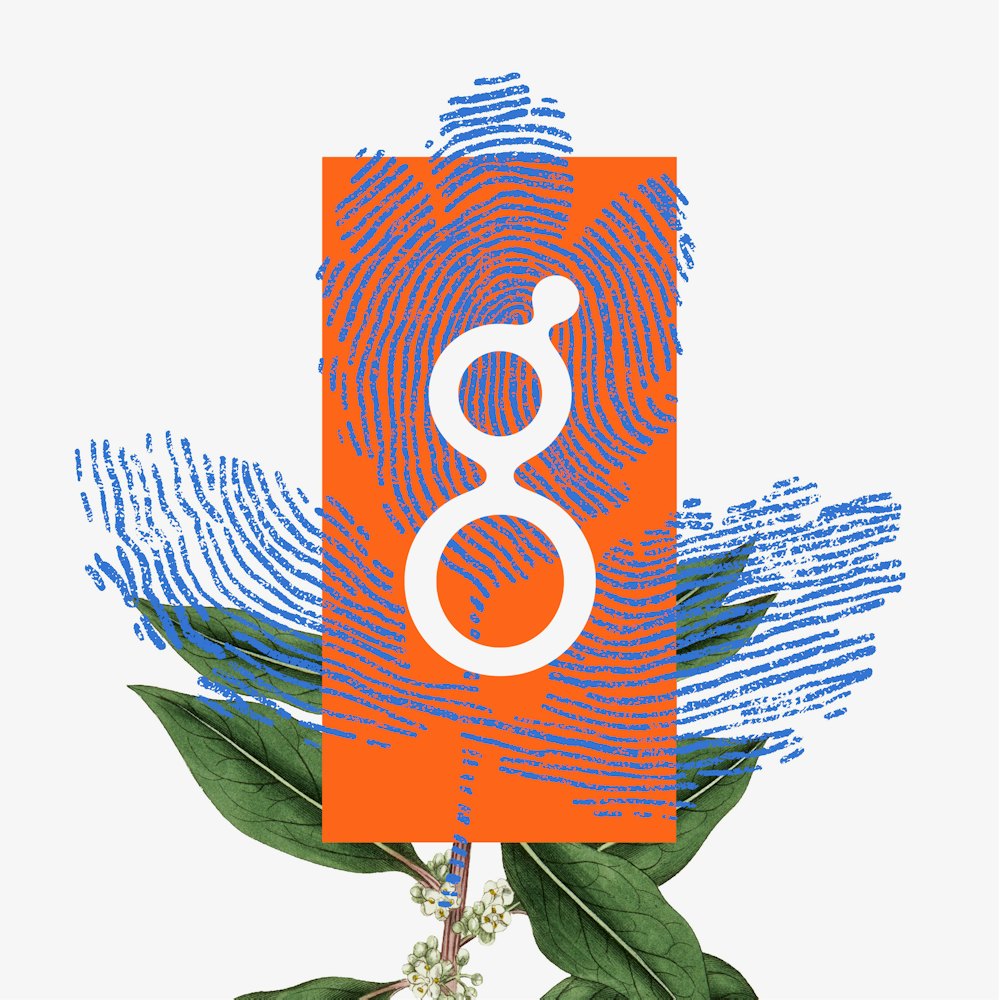 Gh Illustrations 06 02 02