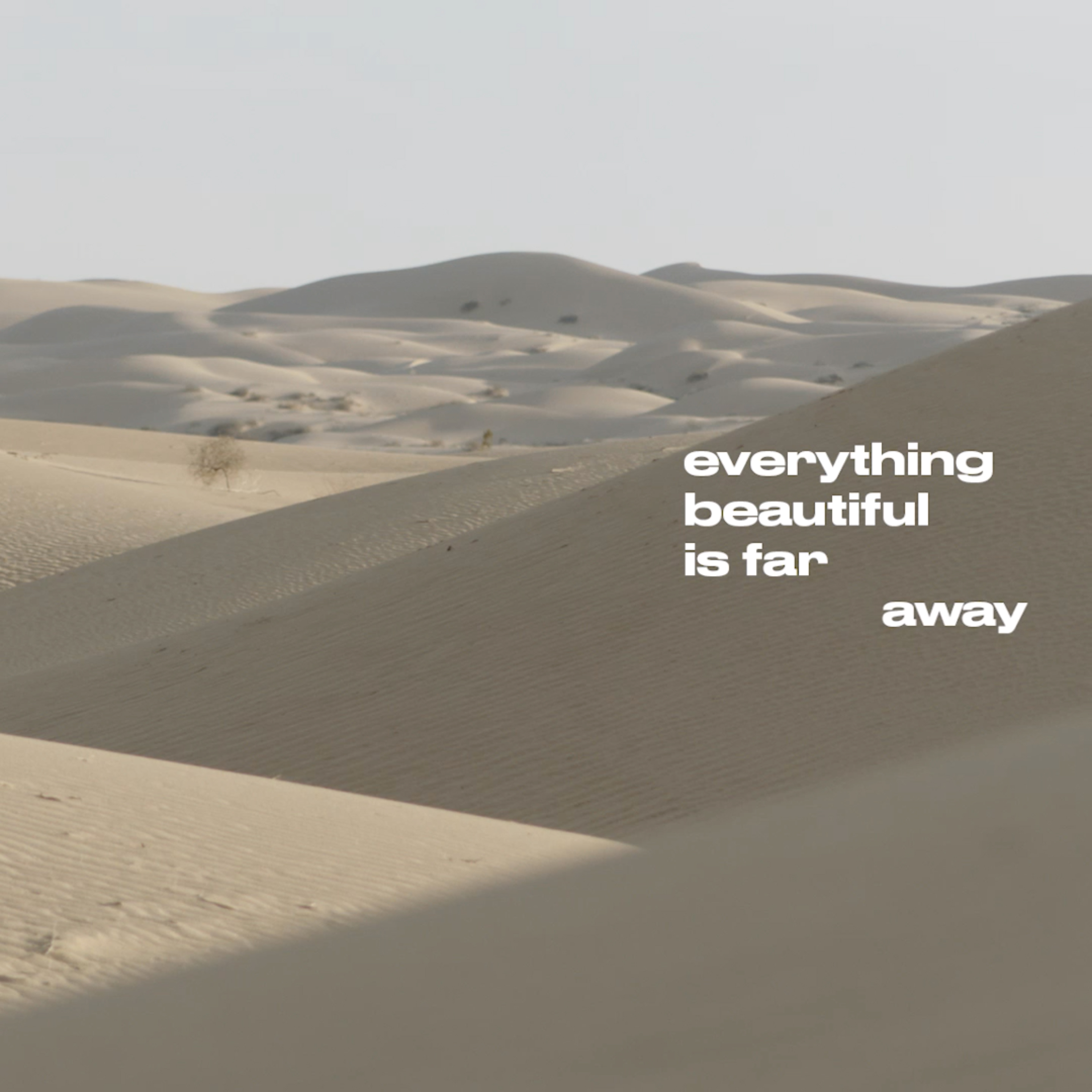 Ebifa Main Title Mobile