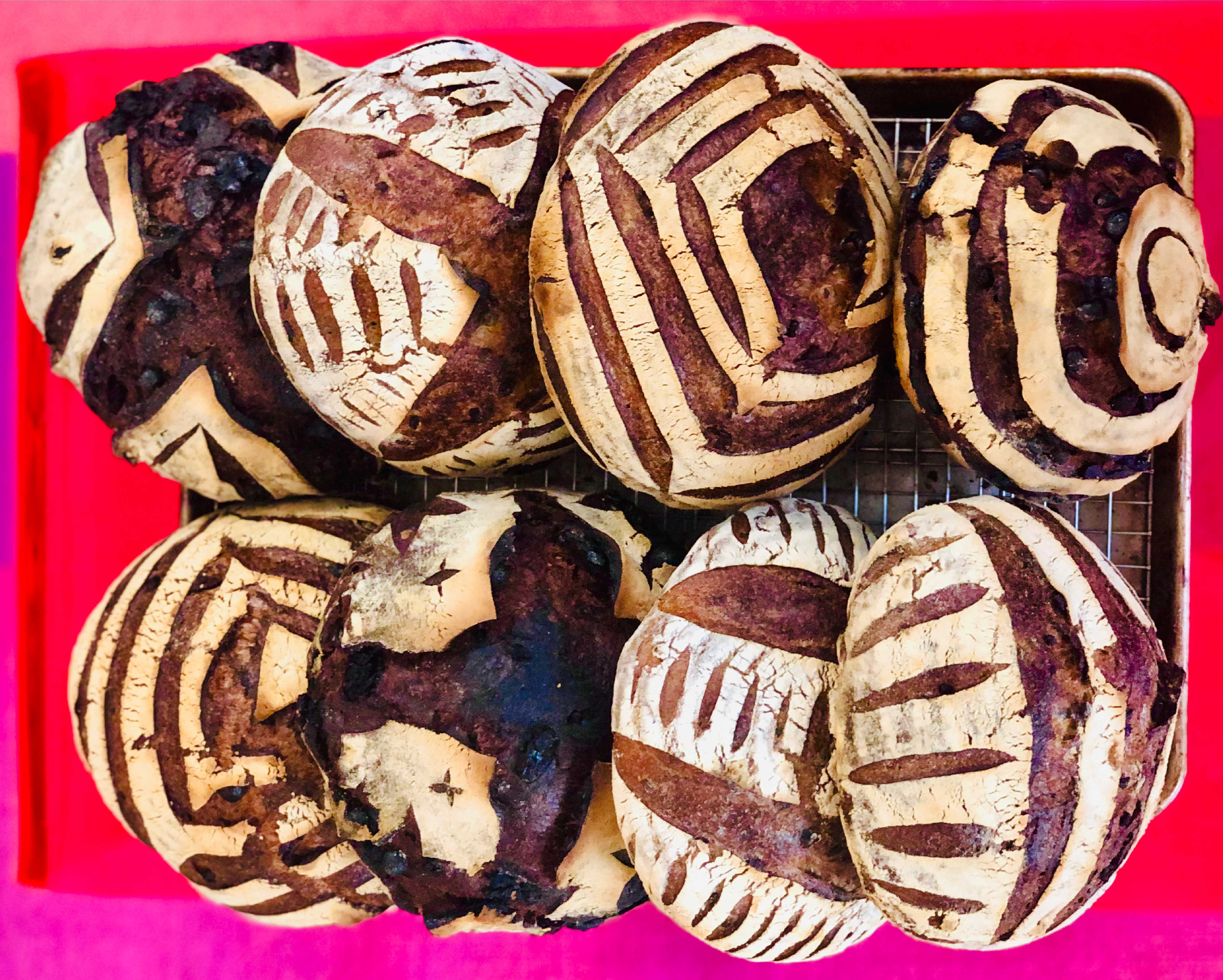 Sourdough Disco Documentation Horizontal 201030