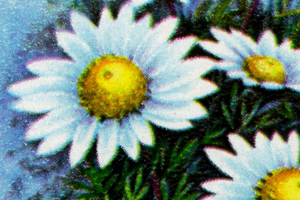 Reception Stamp Wide 02