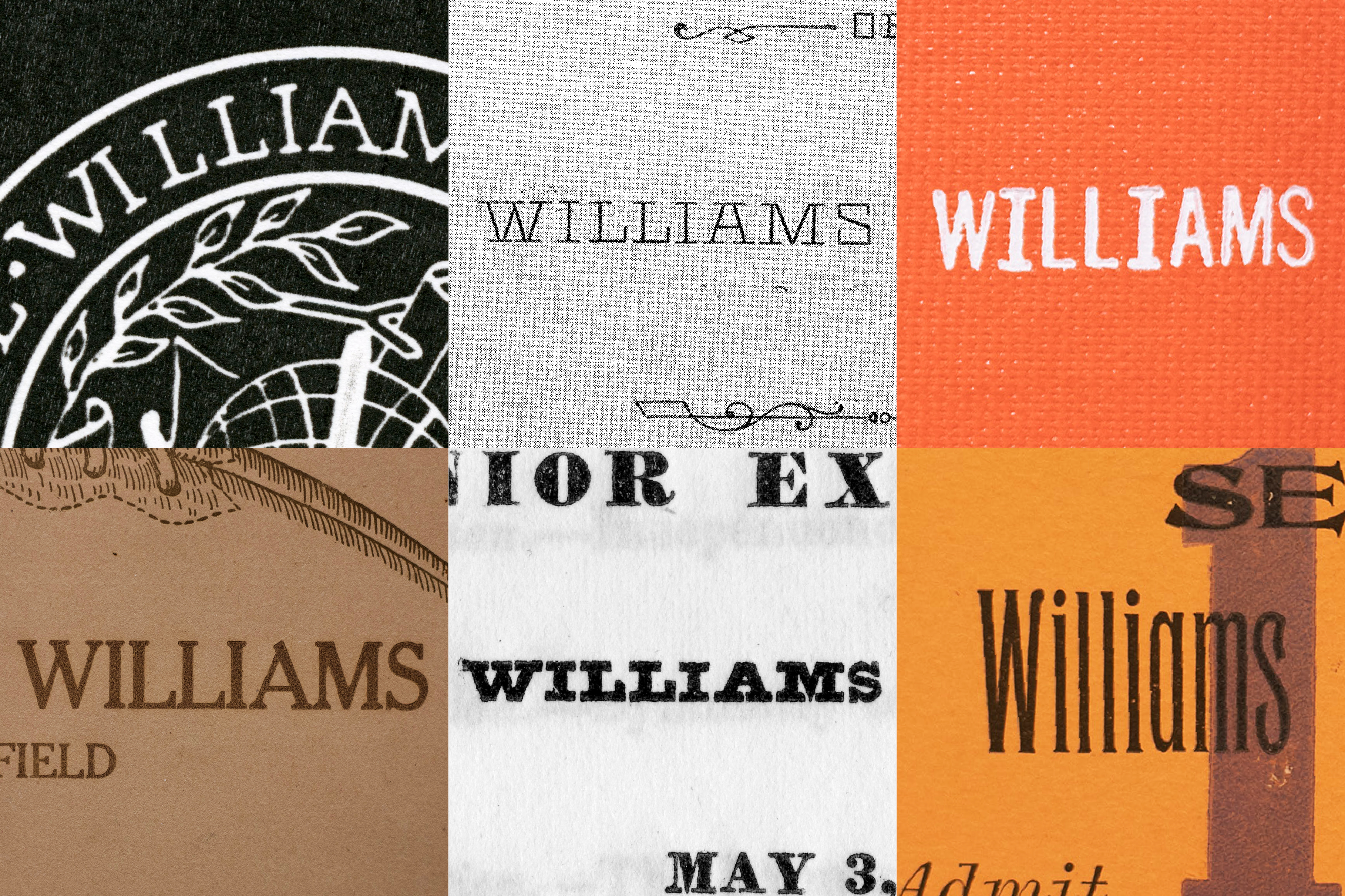 Williams Casestudy Rectangle 1280px5 3