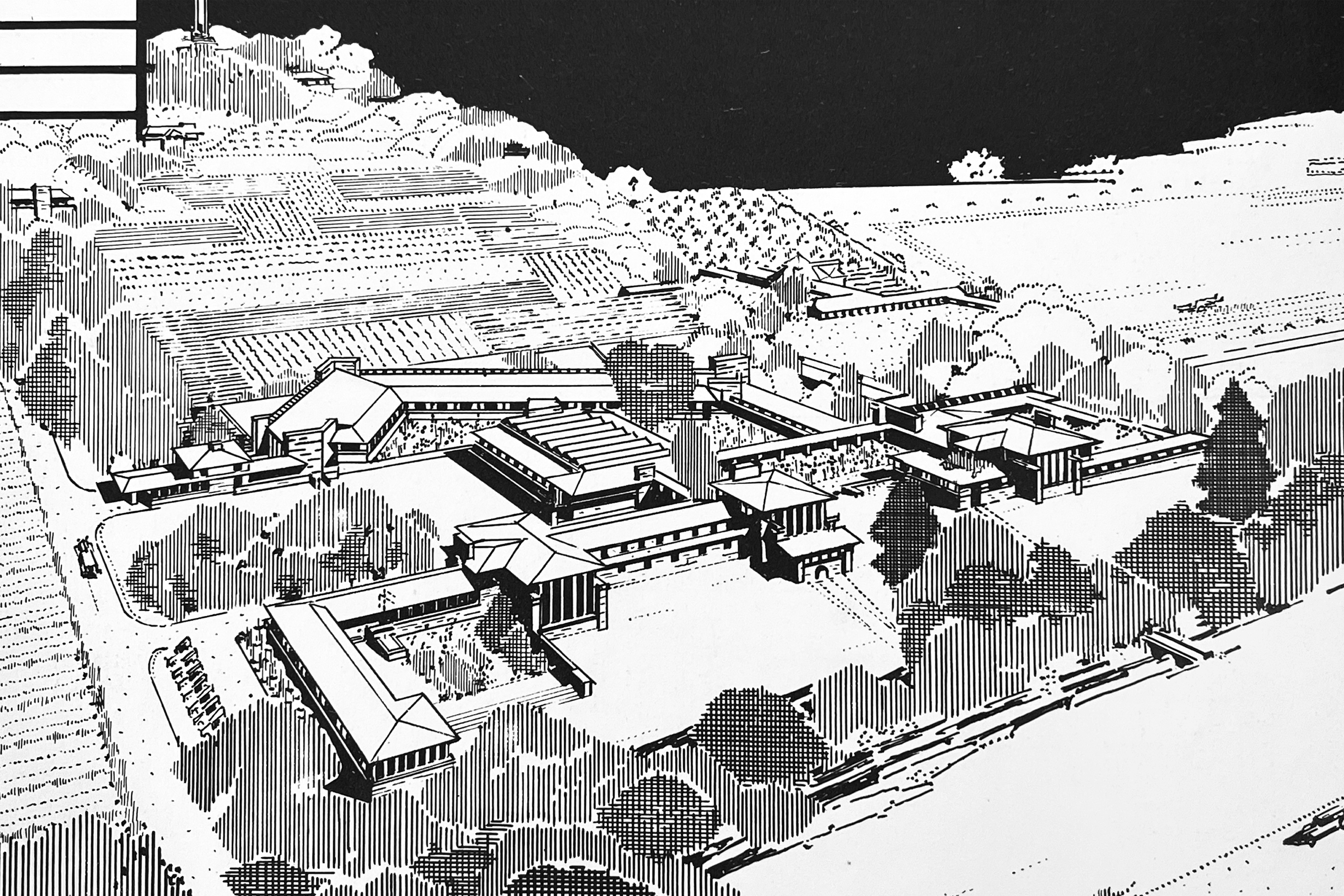 FLWBC WEBSITE PHOTO 14