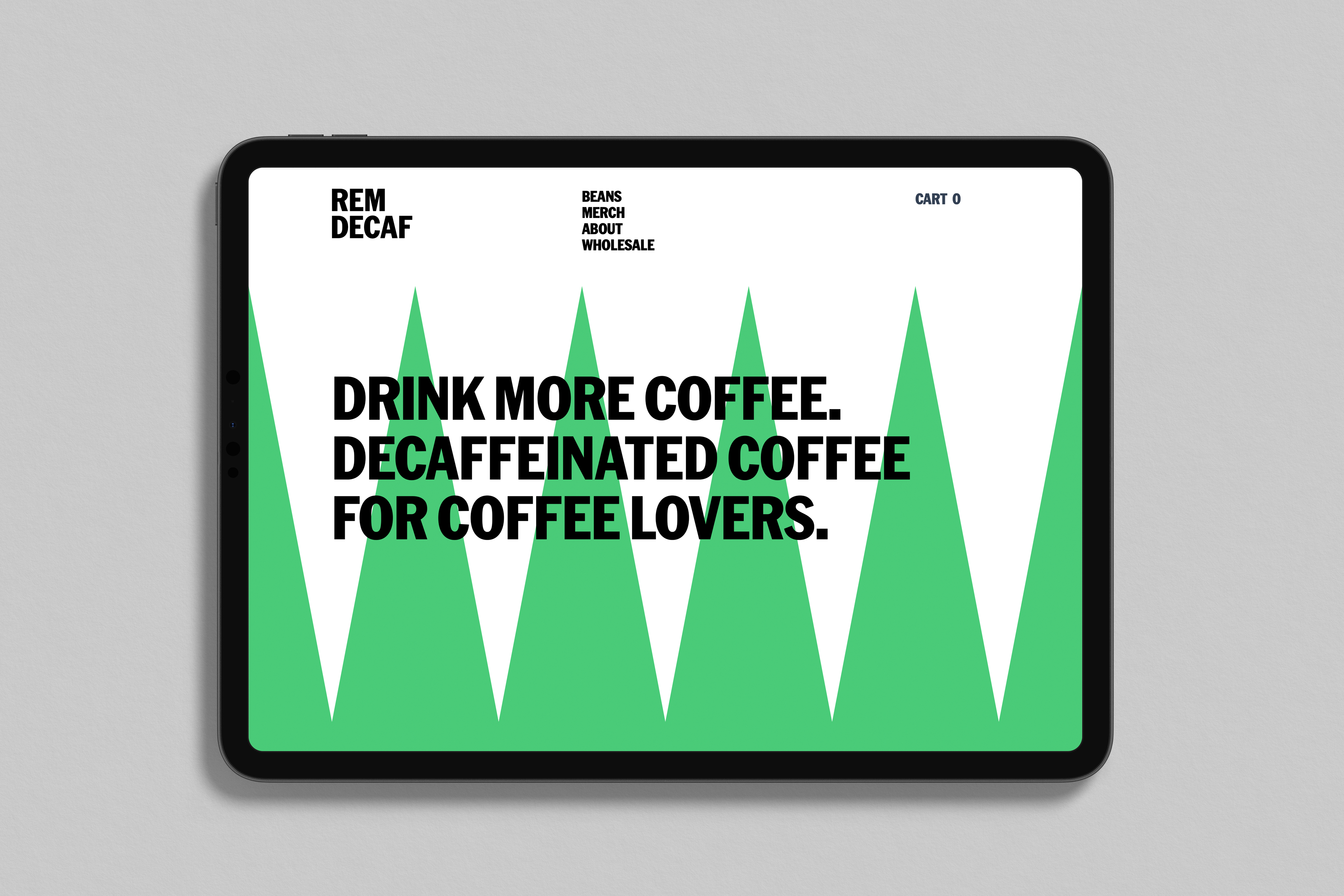 ORDER WEBSITE ASSETS REM11