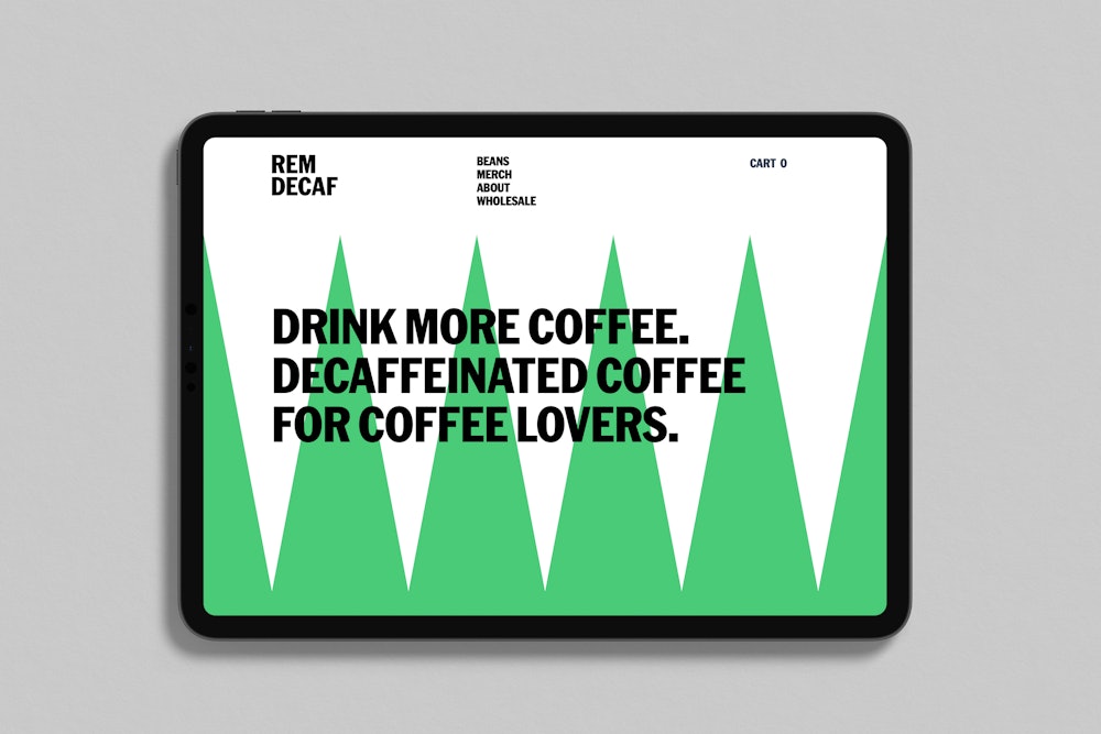 ORDER WEBSITE ASSETS REM11