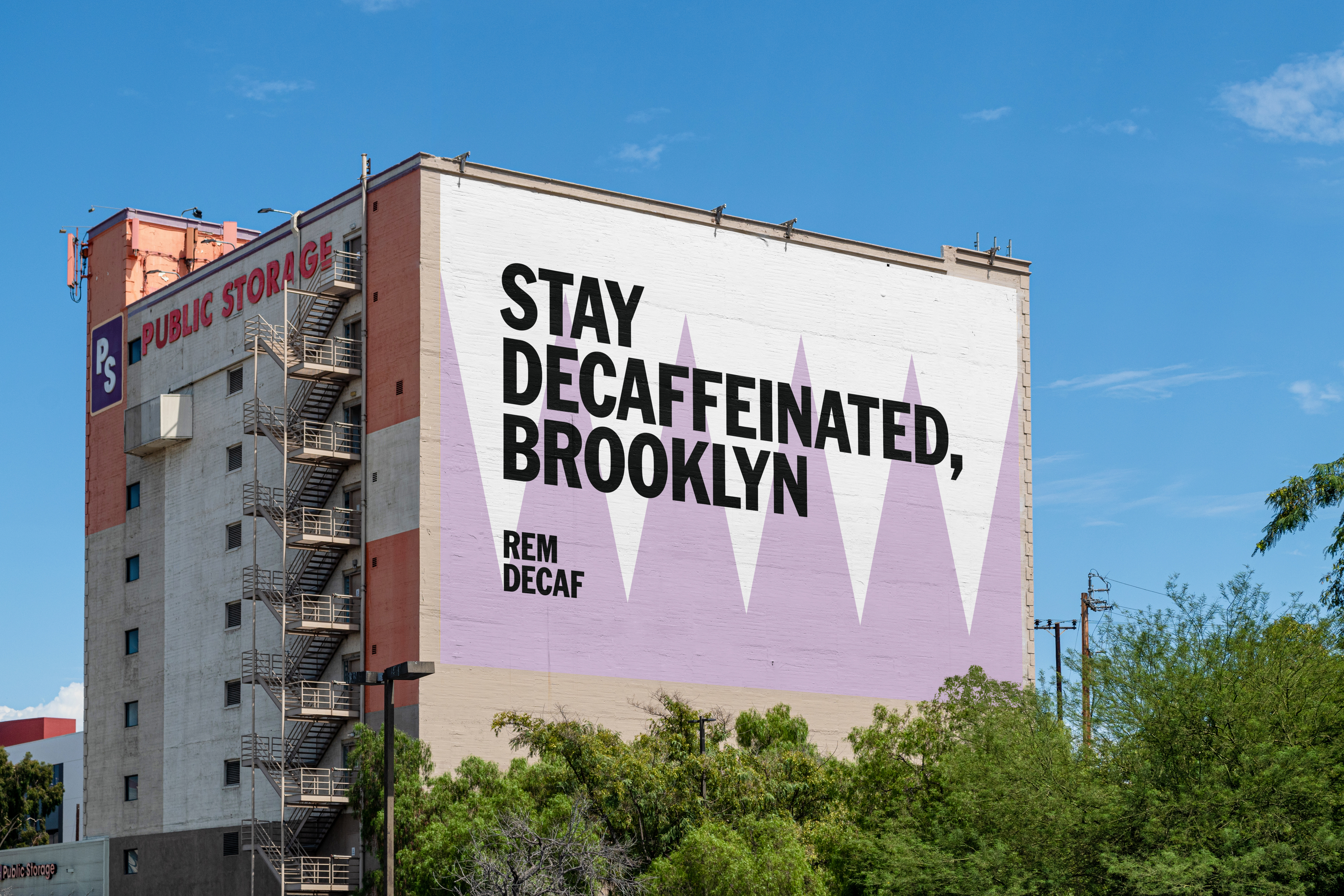 ORDER WEBSITE ASSETS REM12