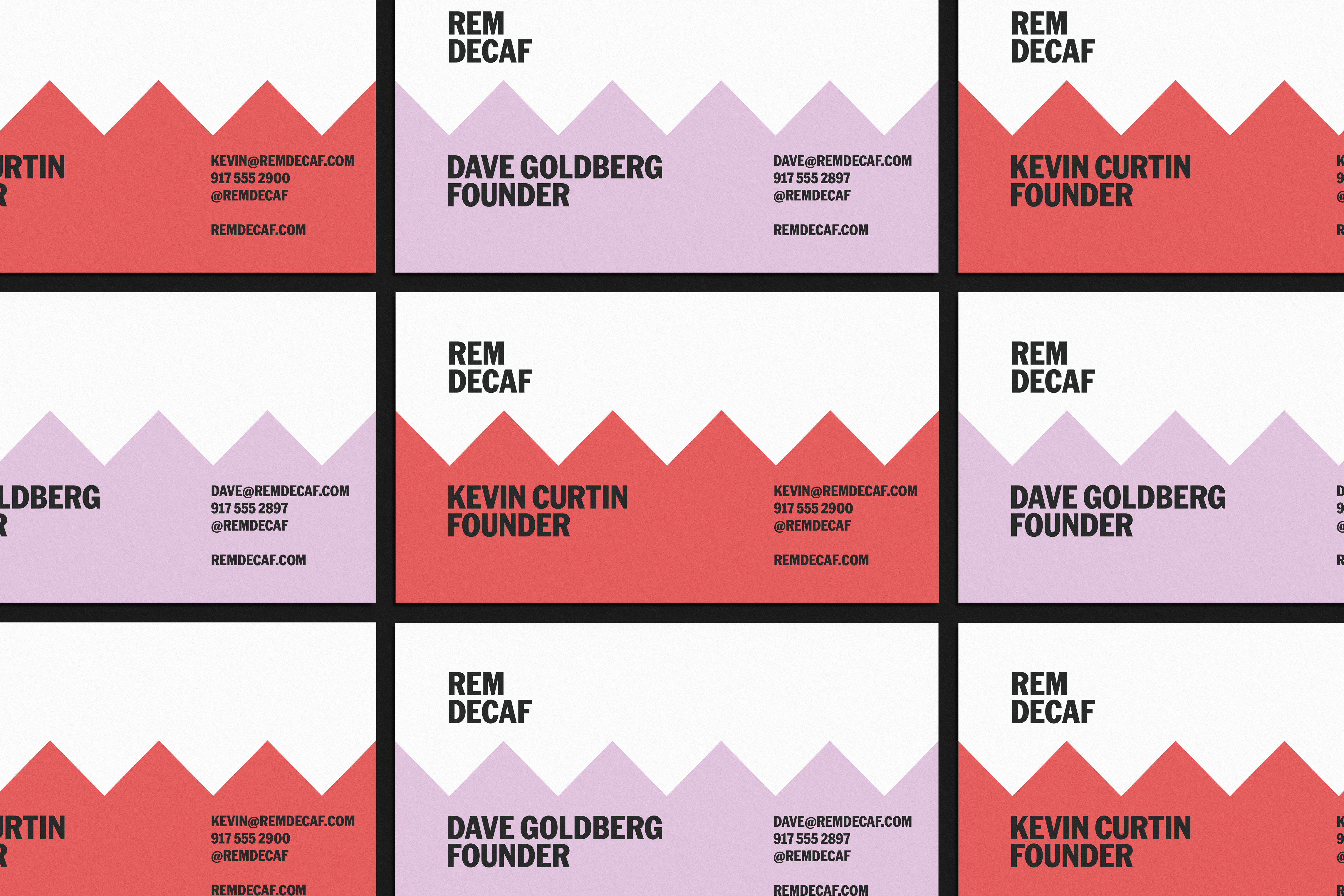 ORDER WEBSITE ASSETS REM13