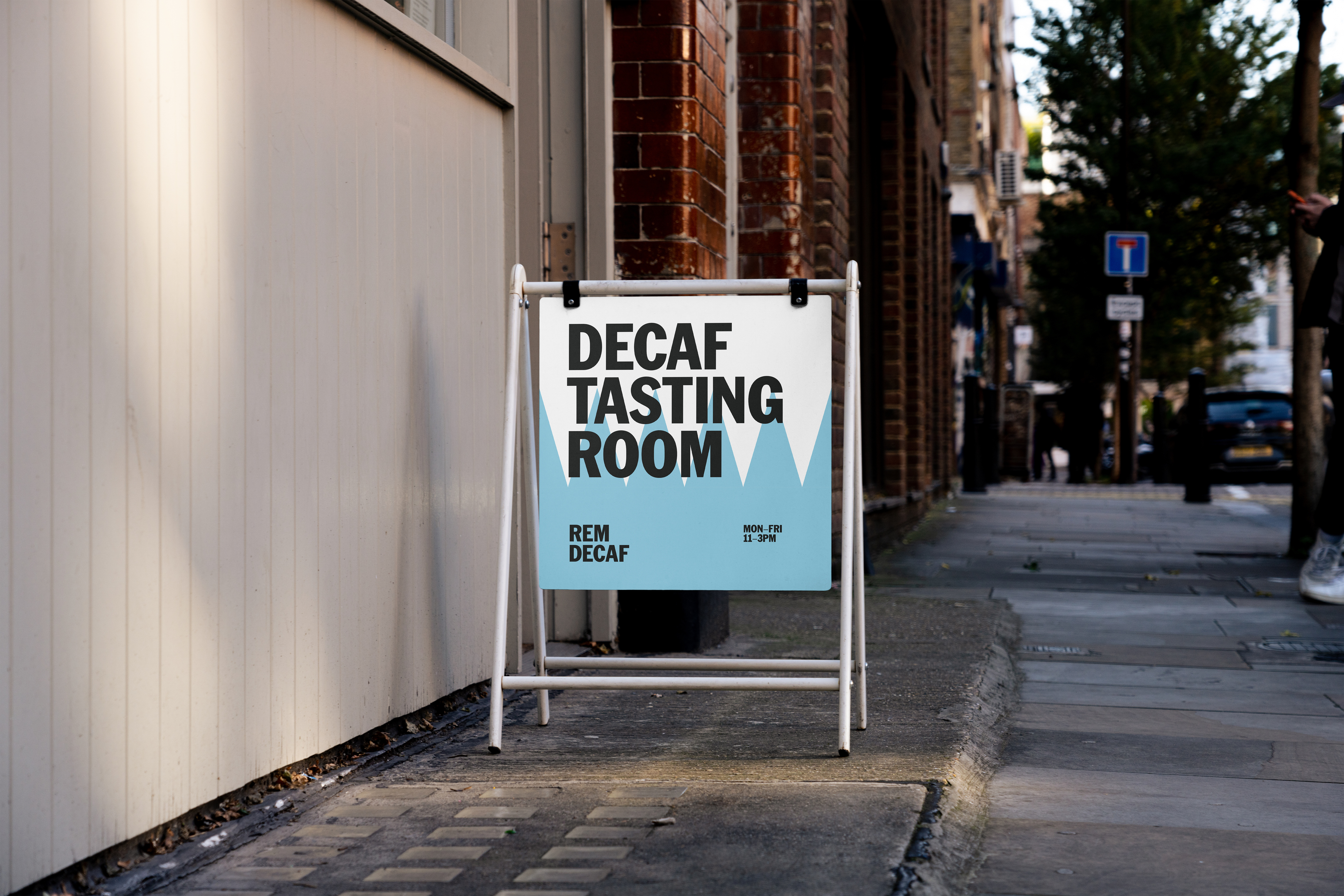 ORDER WEBSITE ASSETS REM15