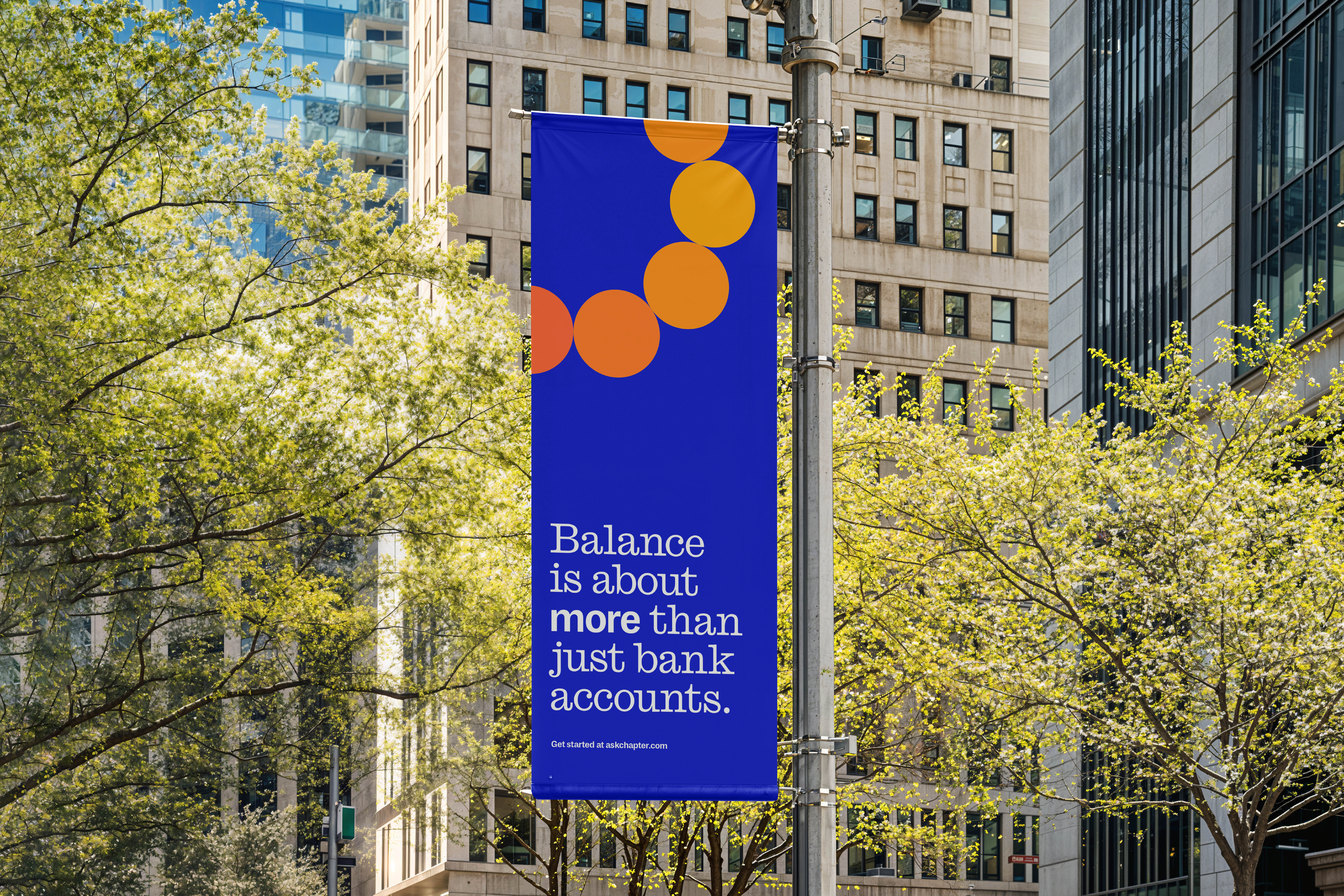 ORDER WEBSITE ASSETS REC CHAPTER22