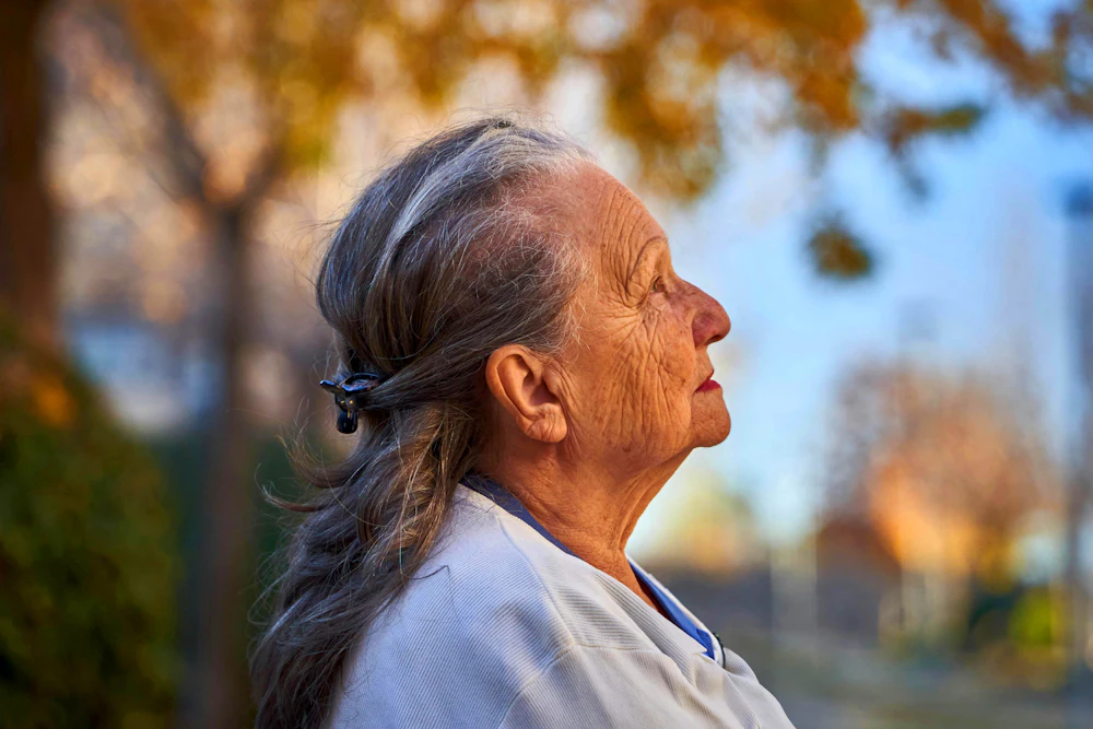 ORDER WEBSITE ASSETS REC CHAPTER4