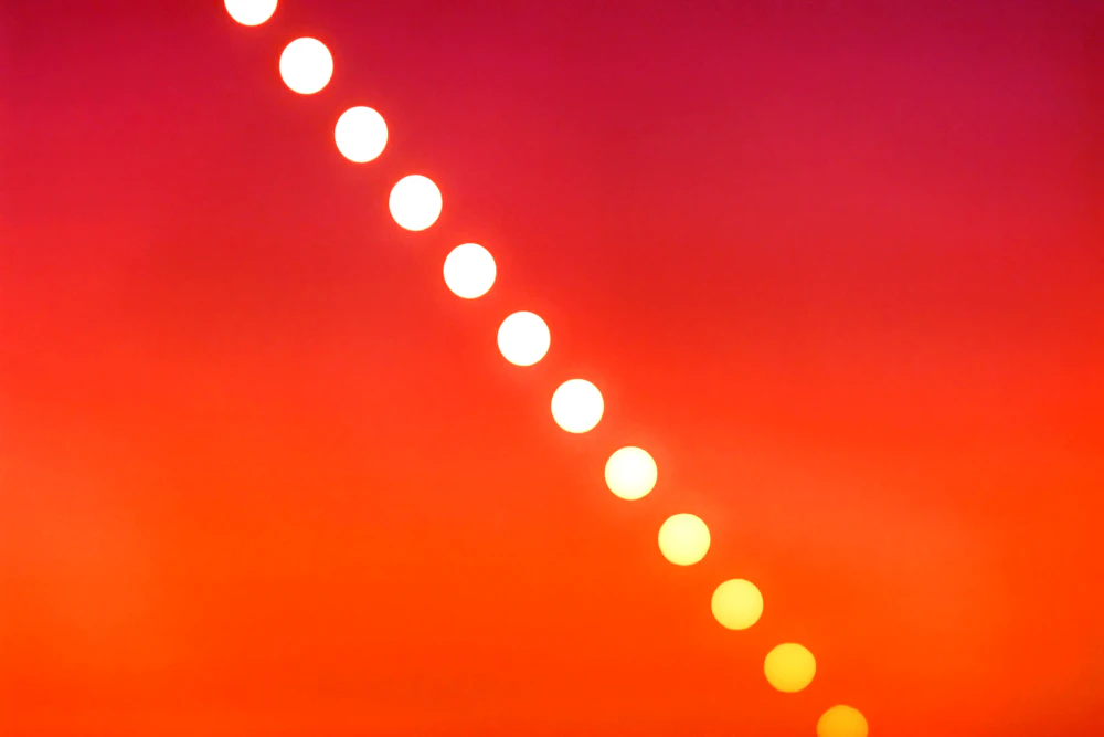 ORDER WEBSITE ASSETS REC CHAPTER6