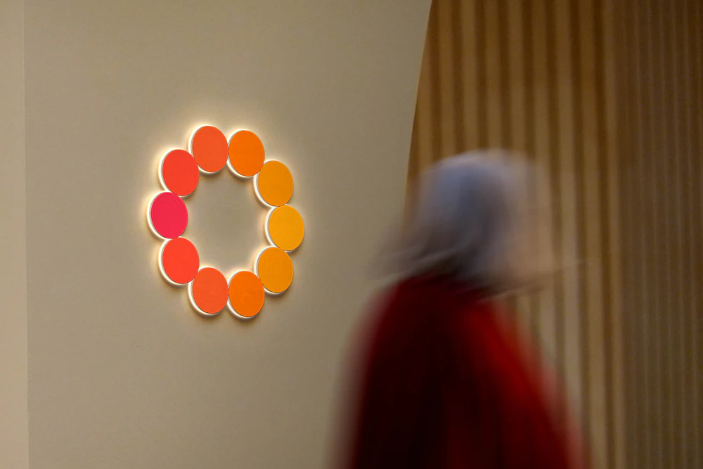 ORDER WEBSITE ASSETS REC CHAPTER7