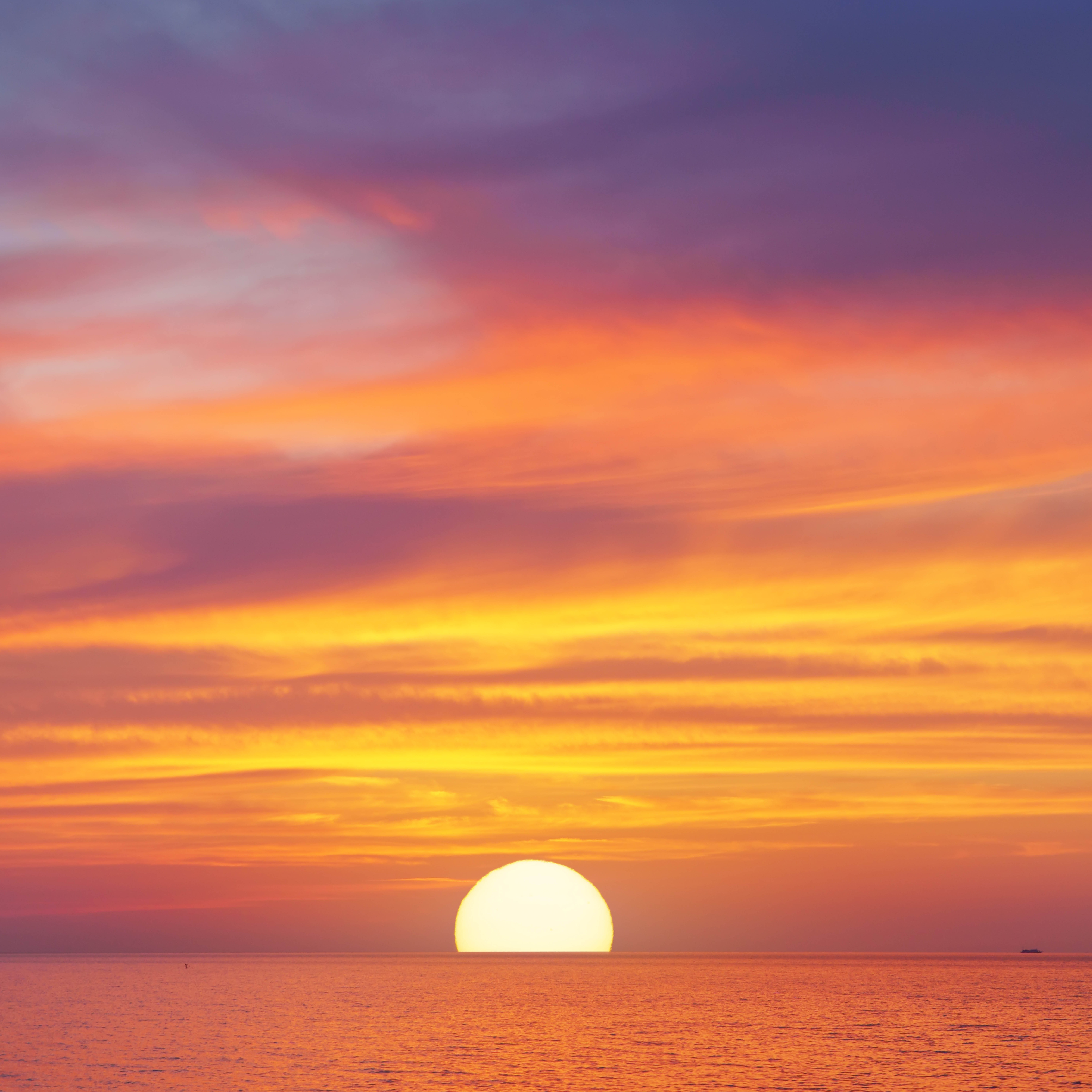 ORDER WEBSITE ASSETS SQUARE CHAPTER10