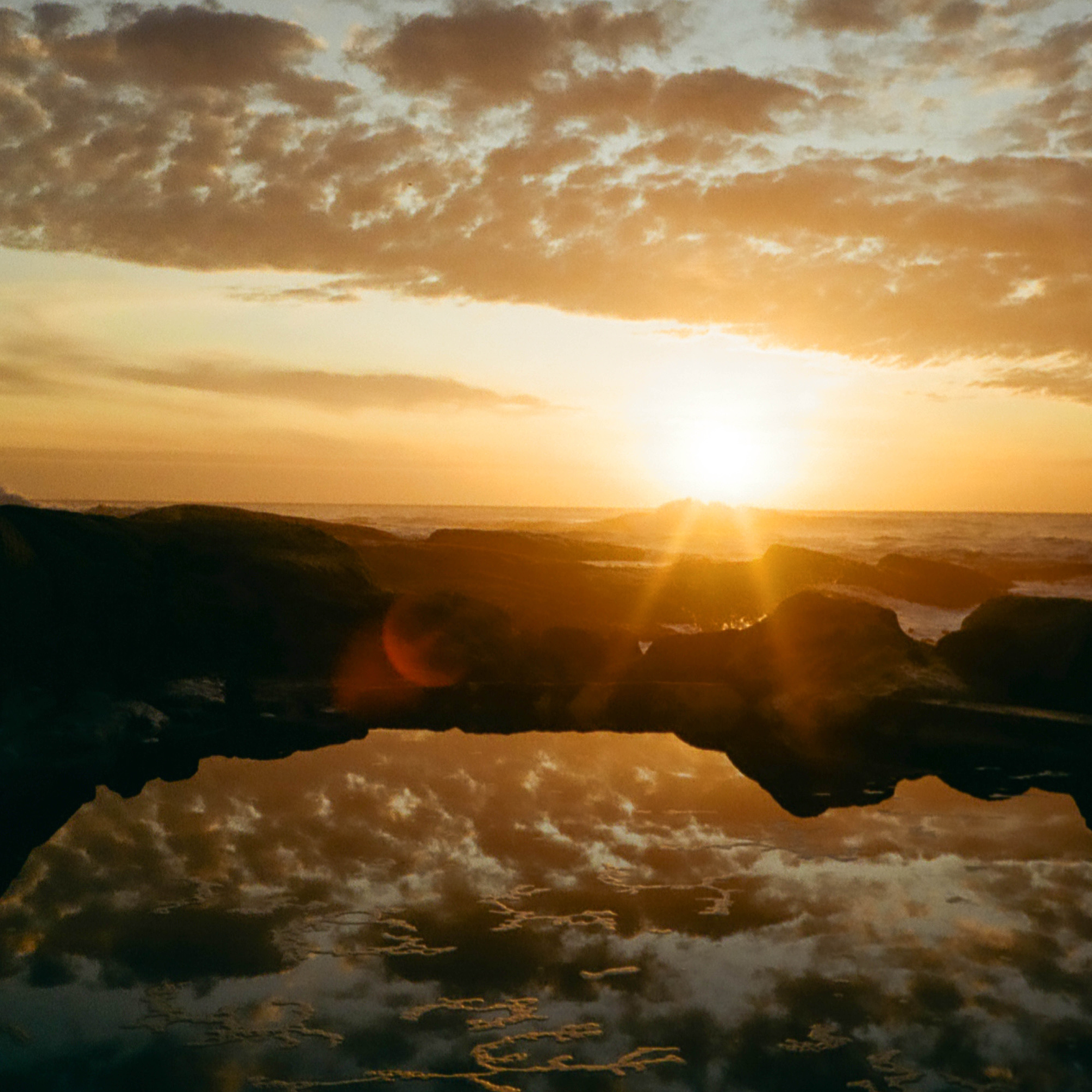 ORDER WEBSITE ASSETS SQUARE CHAPTER12