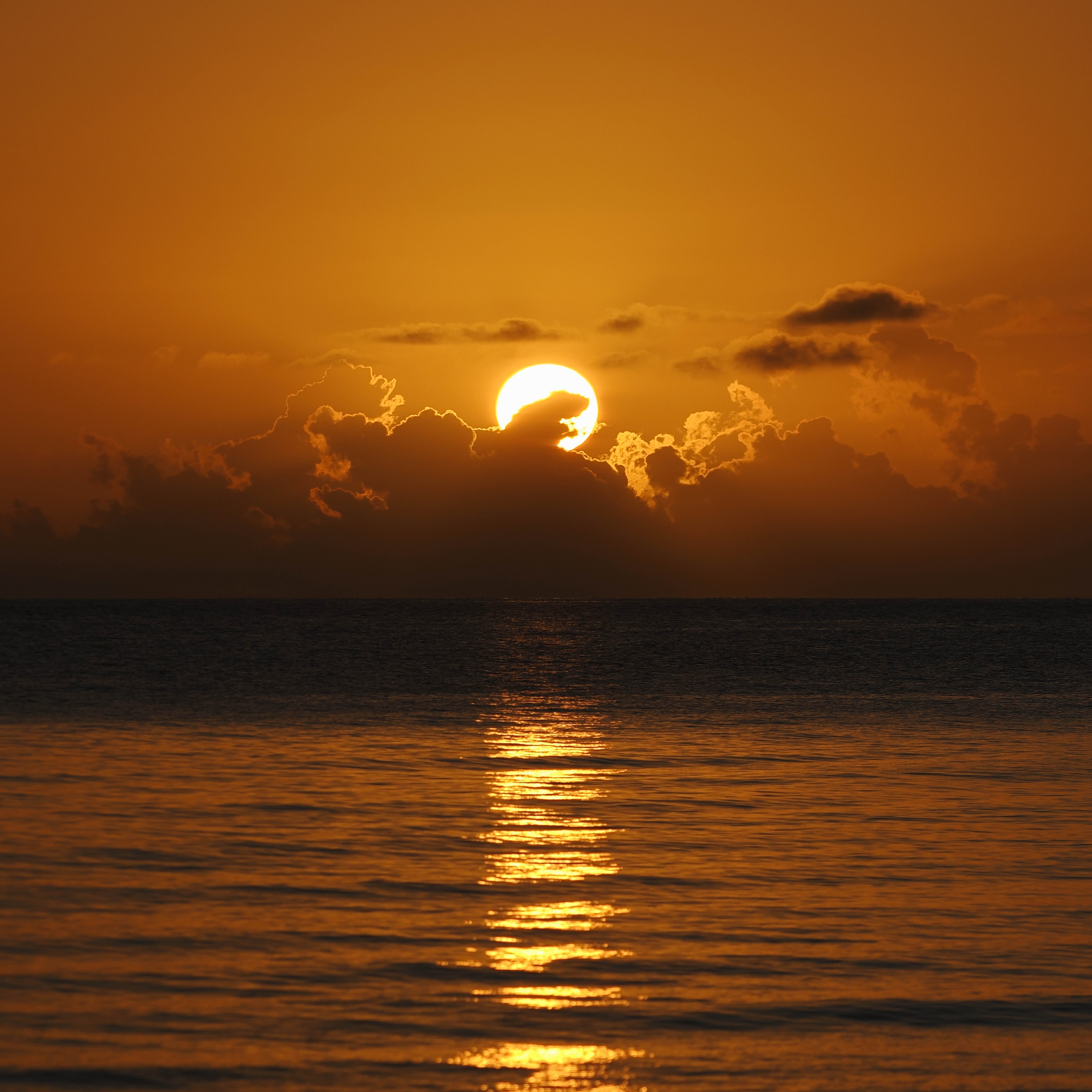 ORDER WEBSITE ASSETS SQUARE CHAPTER13