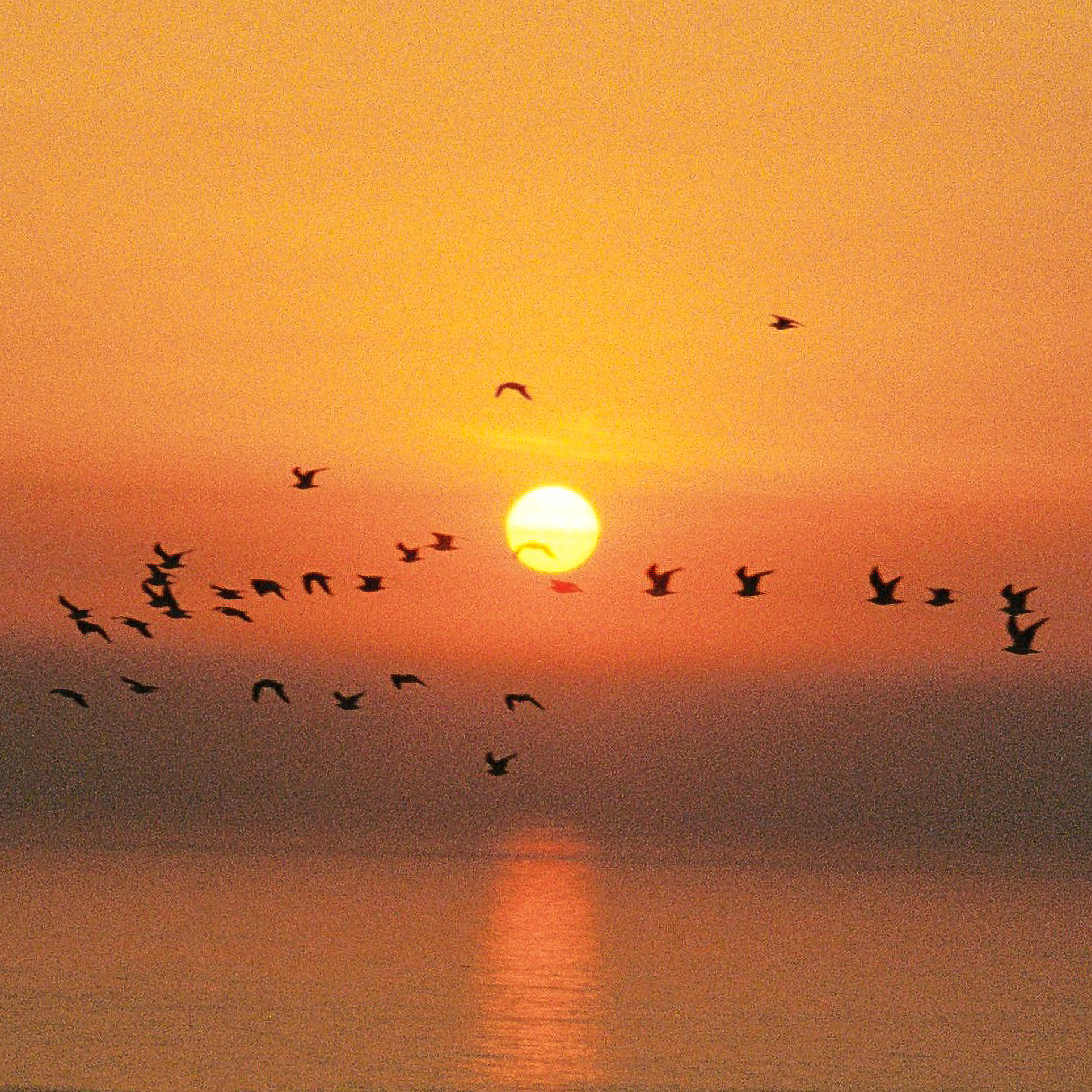 ORDER WEBSITE ASSETS SQUARE CHAPTER15