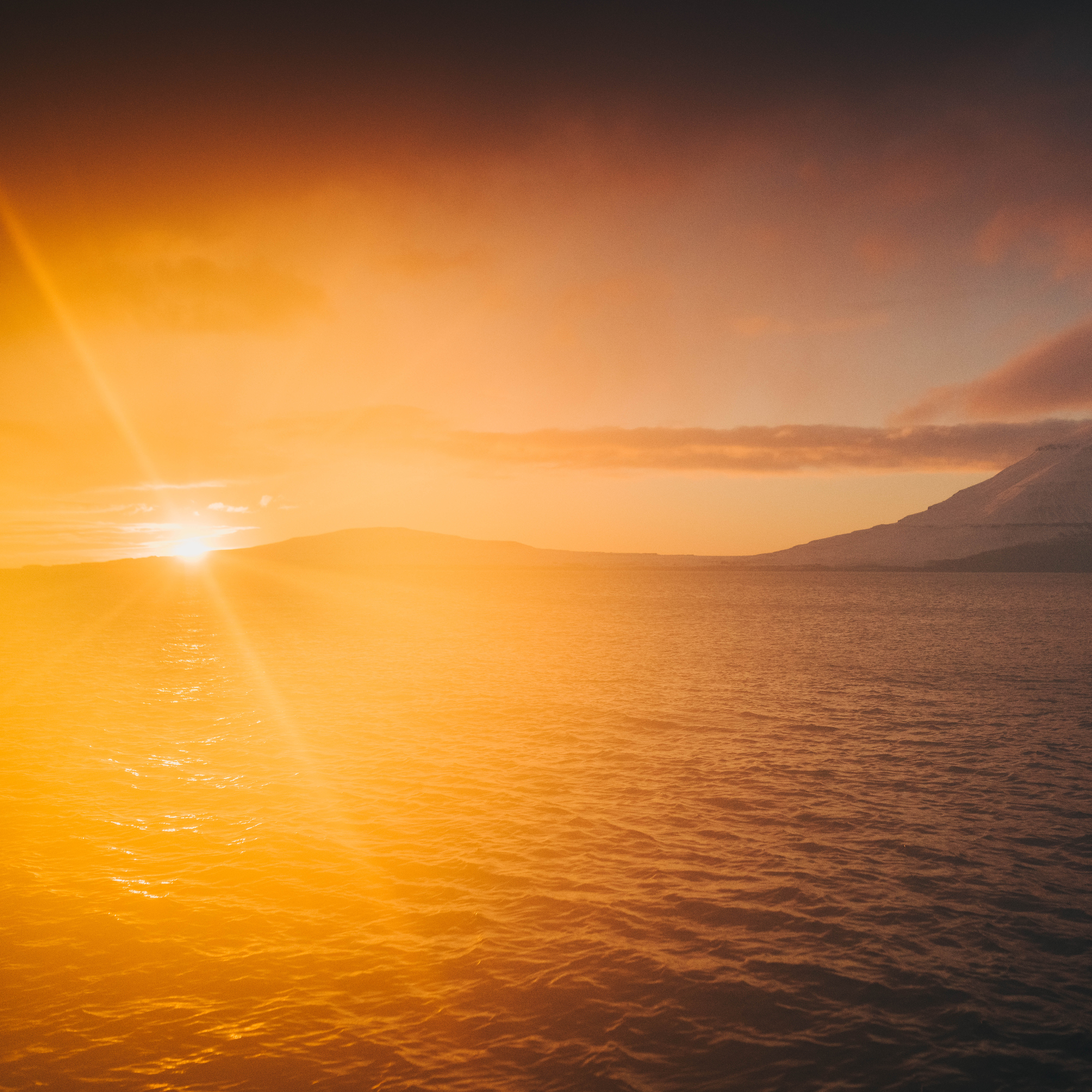 ORDER WEBSITE ASSETS SQUARE CHAPTER5