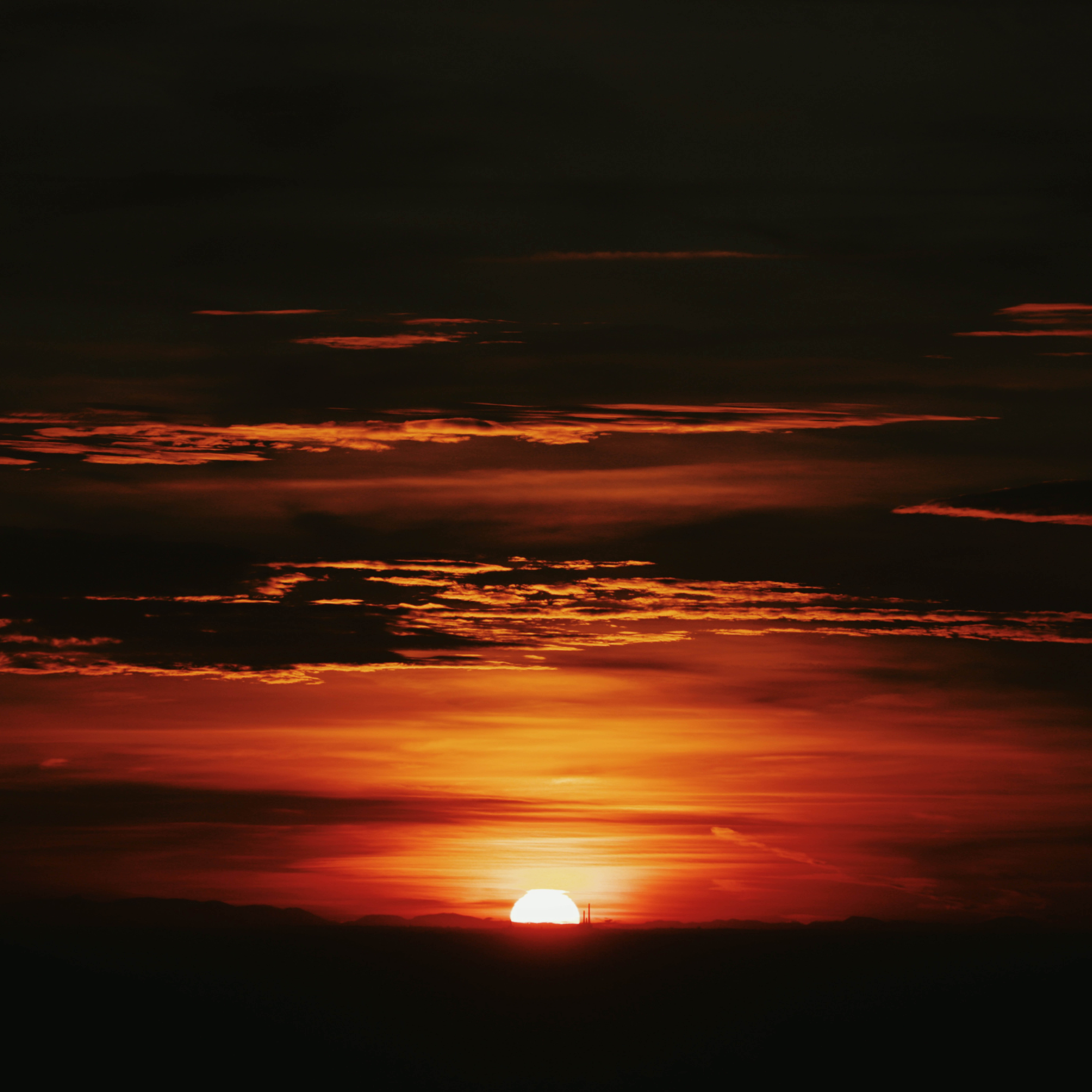 ORDER WEBSITE ASSETS SQUARE CHAPTER7