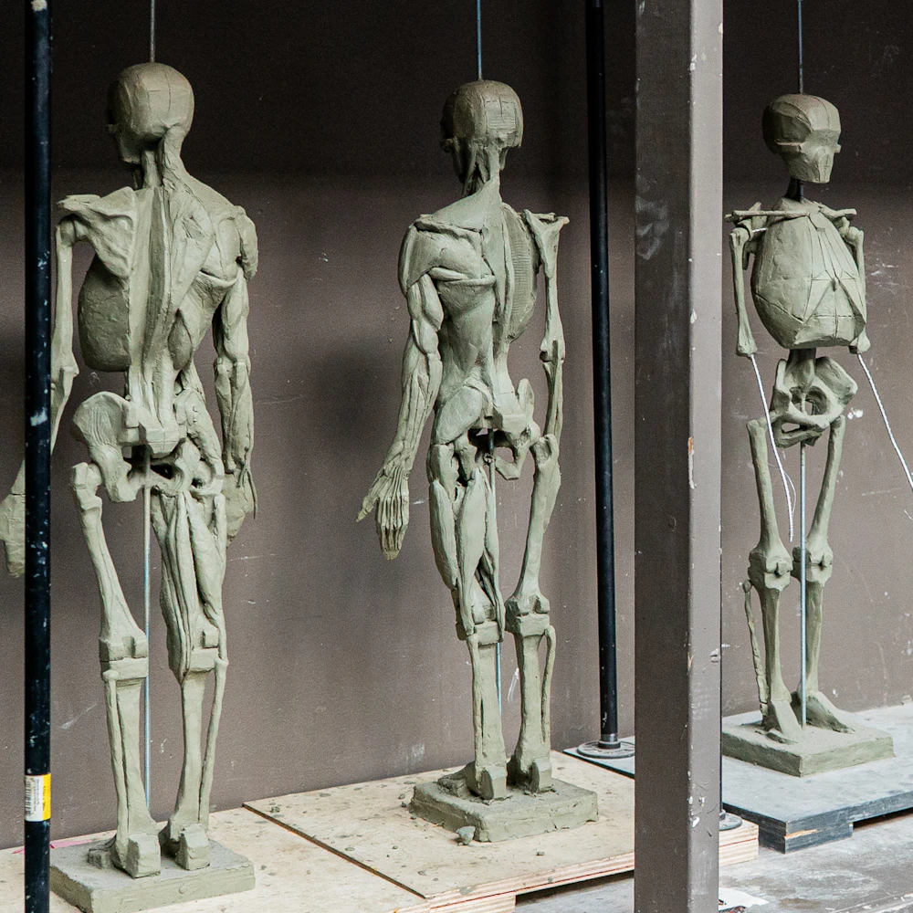 ORDER WEBSITE ASSETS SQR LYME13