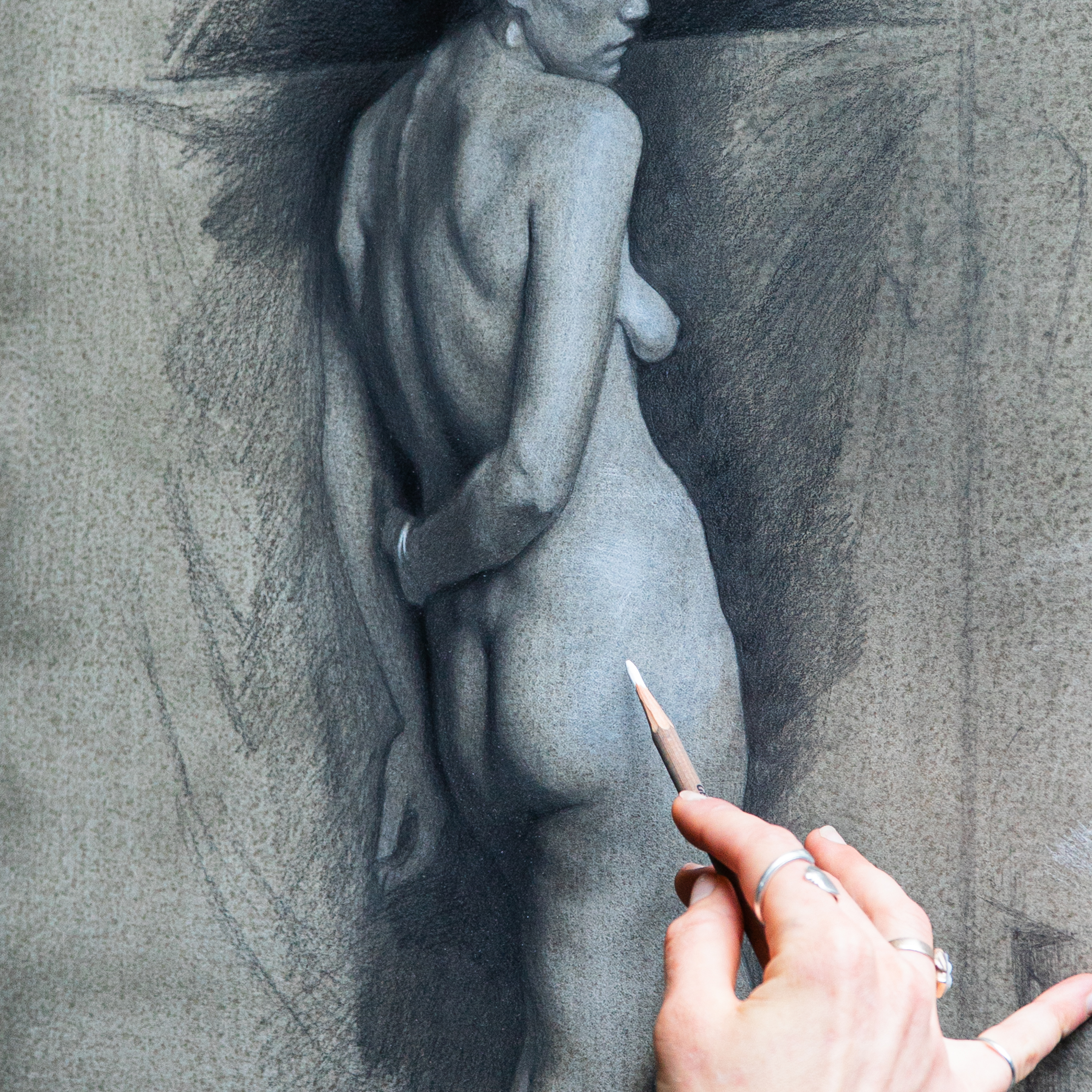 ORDER WEBSITE ASSETS SQR LYME14