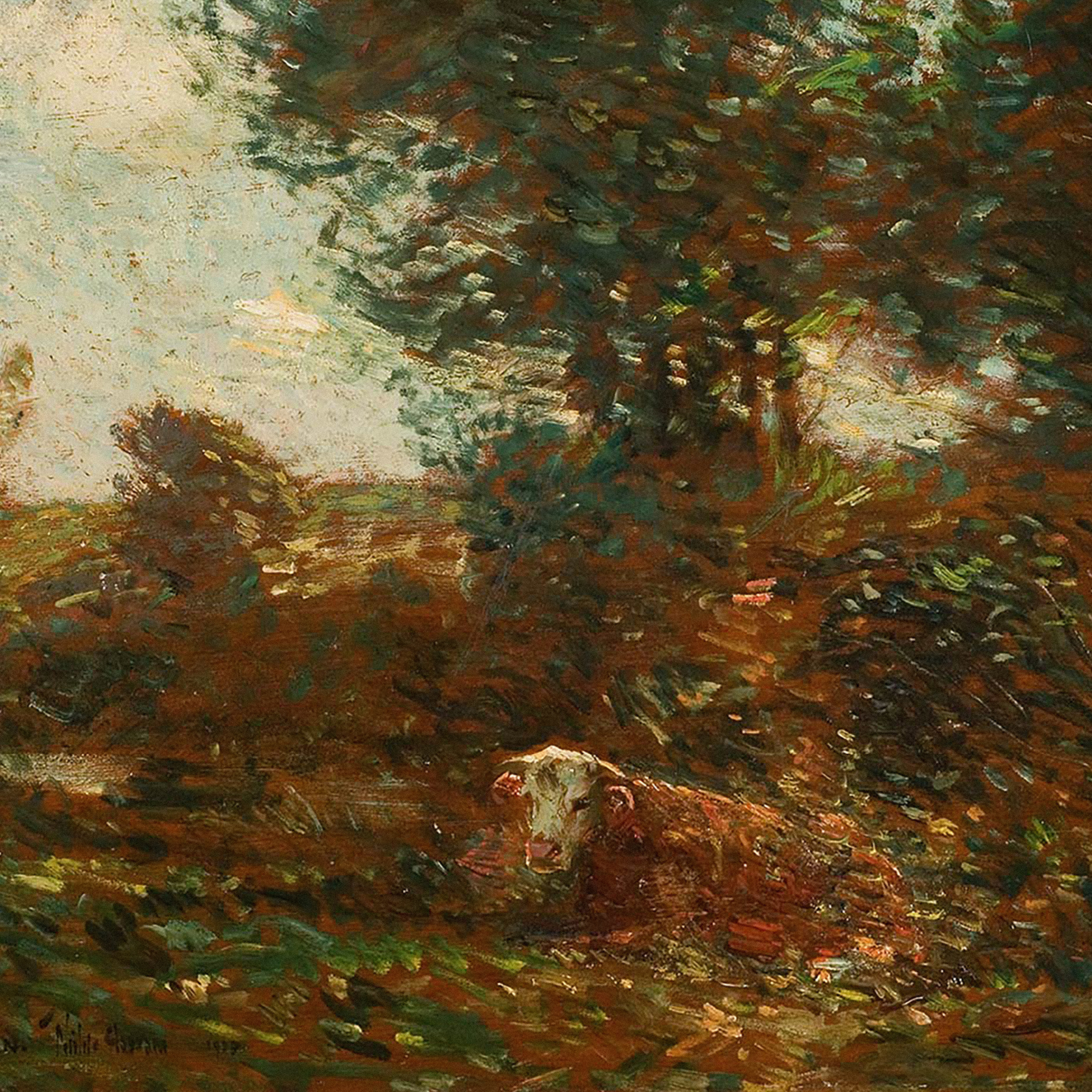 ORDER WEBSITE ASSETS SQR LYME2