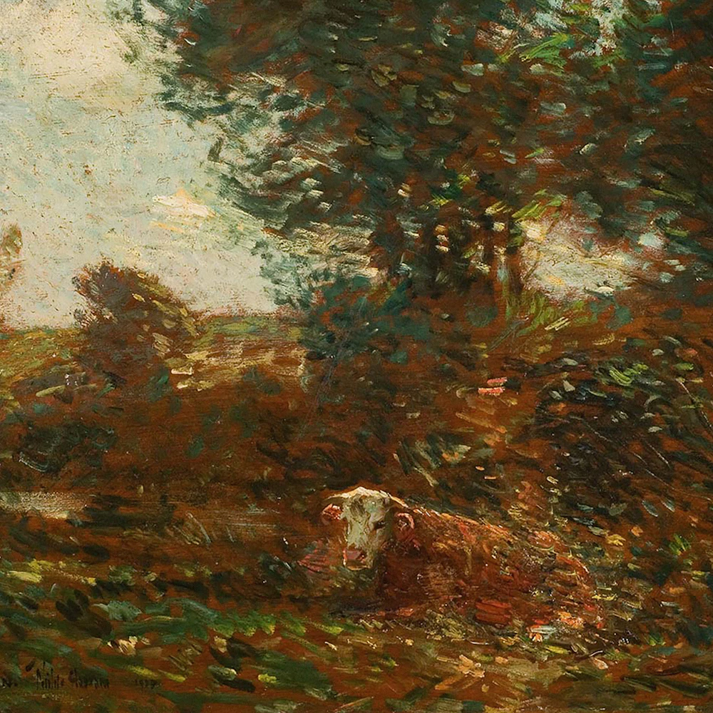 ORDER WEBSITE ASSETS SQR LYME2