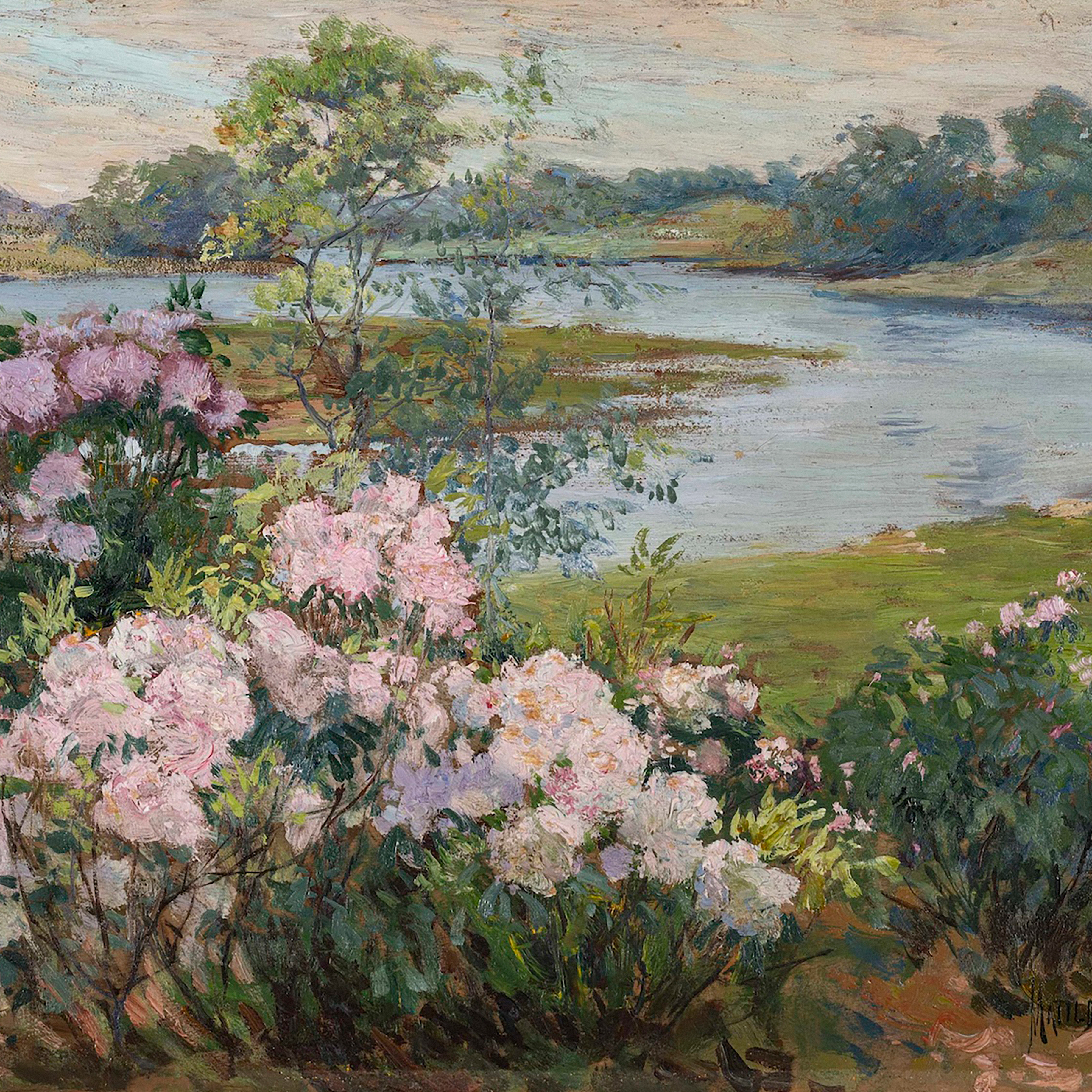 ORDER WEBSITE ASSETS SQR LYME3