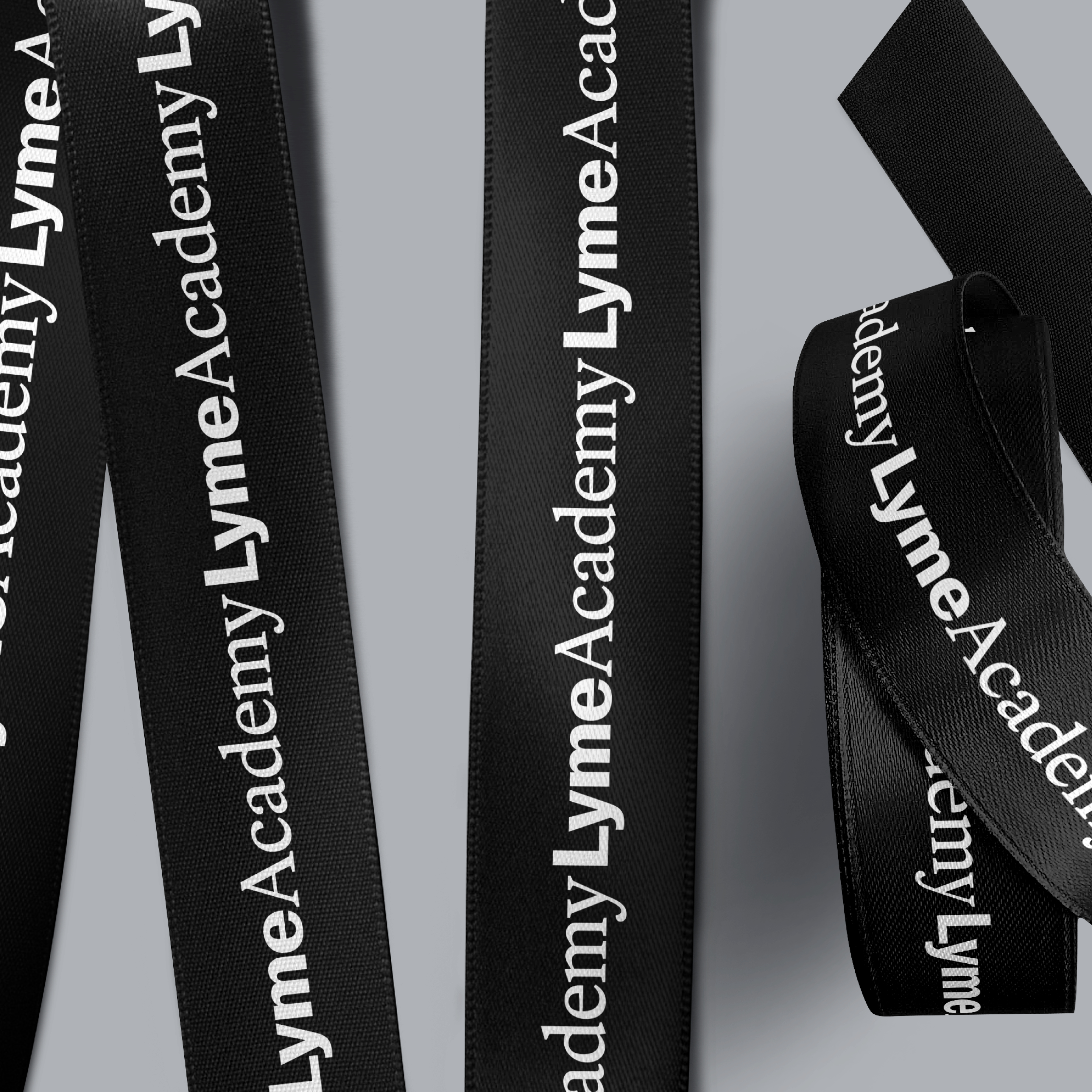 ORDER WEBSITE ASSETS SQR LYME35