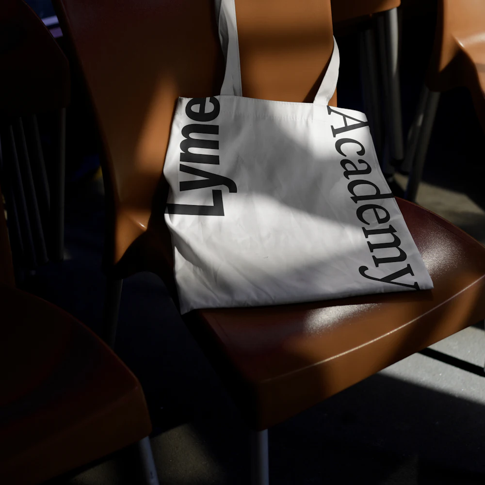 ORDER WEBSITE ASSETS SQR LYME37