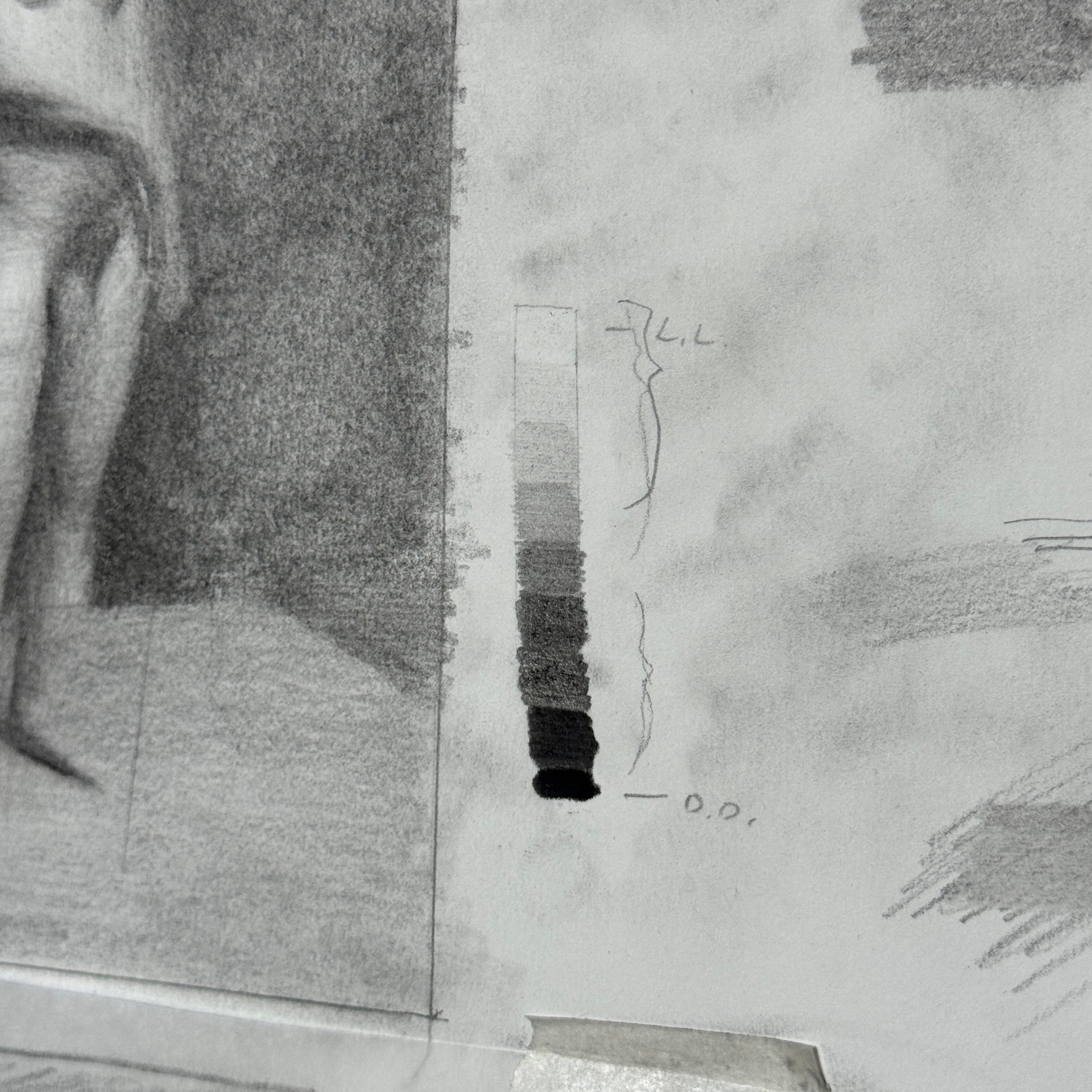 ORDER WEBSITE ASSETS SQR LYME47