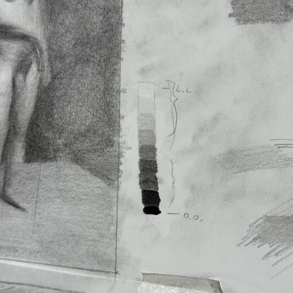 ORDER WEBSITE ASSETS SQR LYME47