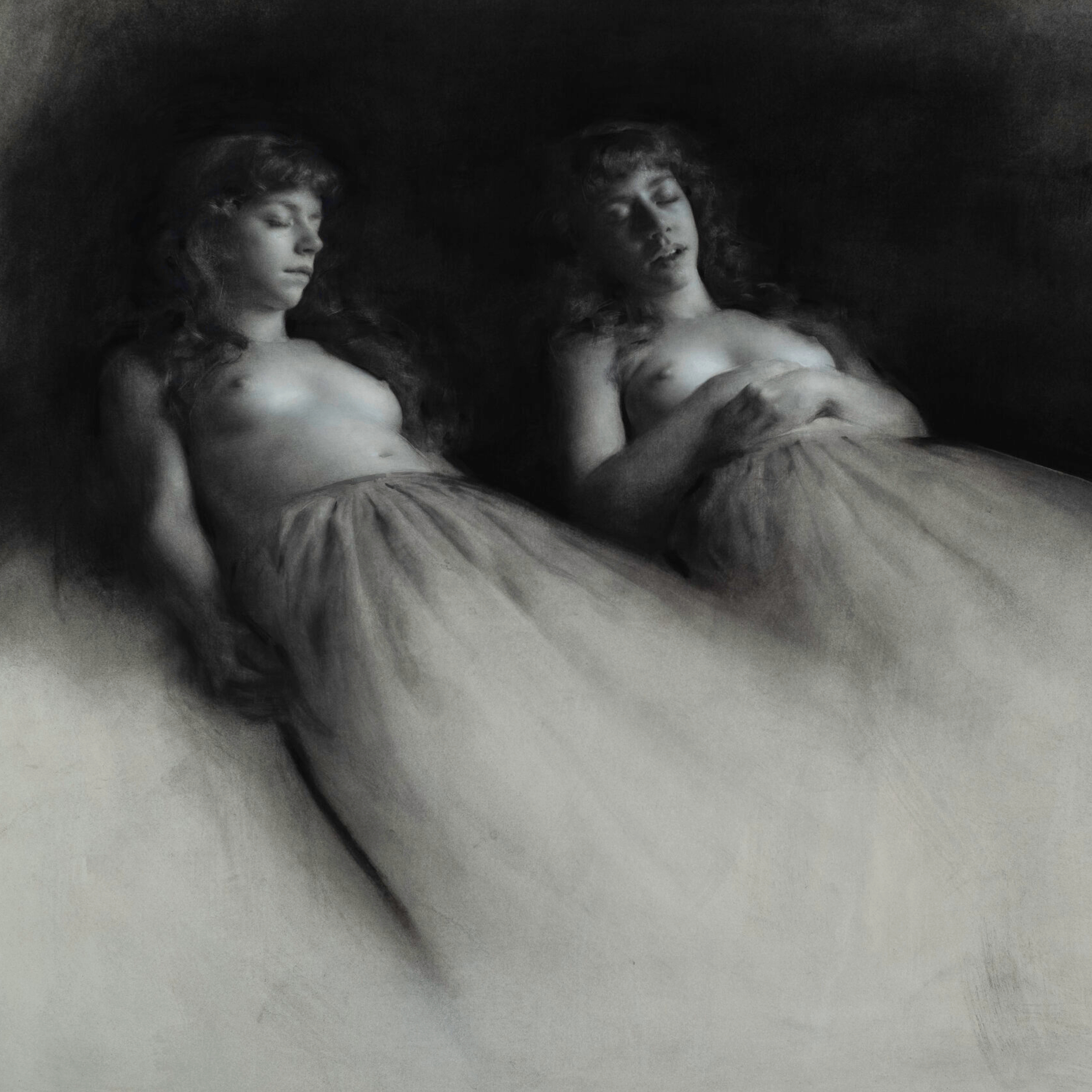 ORDER WEBSITE ASSETS SQR LYME50