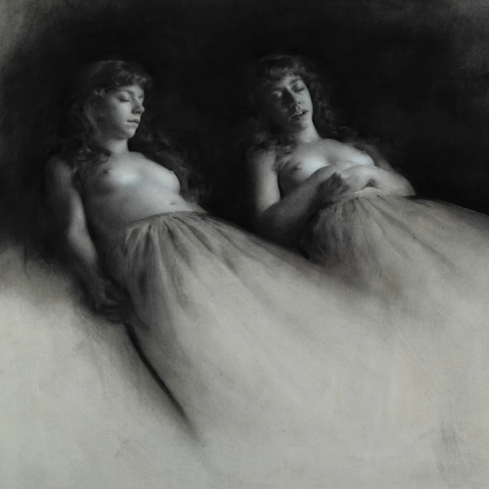 ORDER WEBSITE ASSETS SQR LYME50