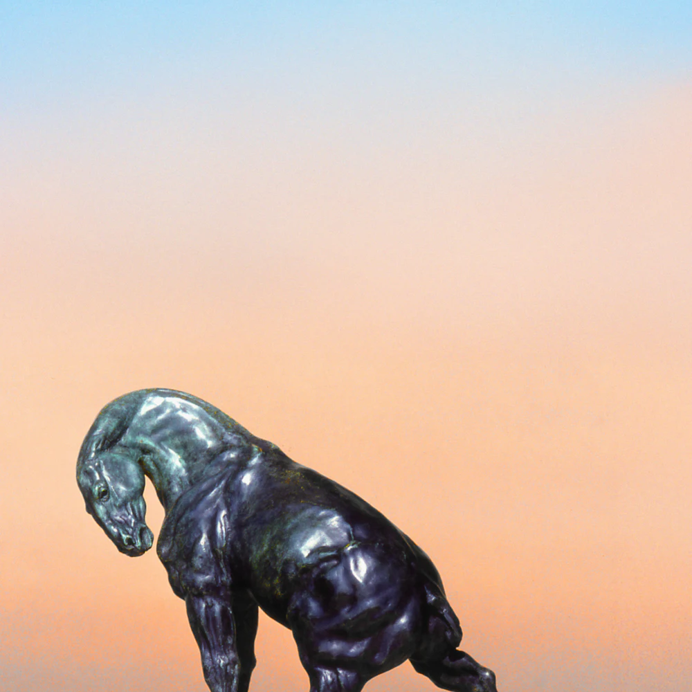 ORDER WEBSITE ASSETS SQR LYME51