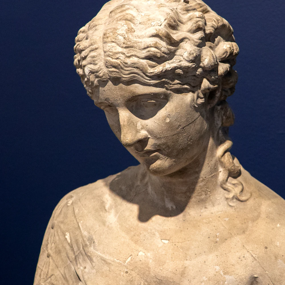 ORDER WEBSITE ASSETS SQR LYME53