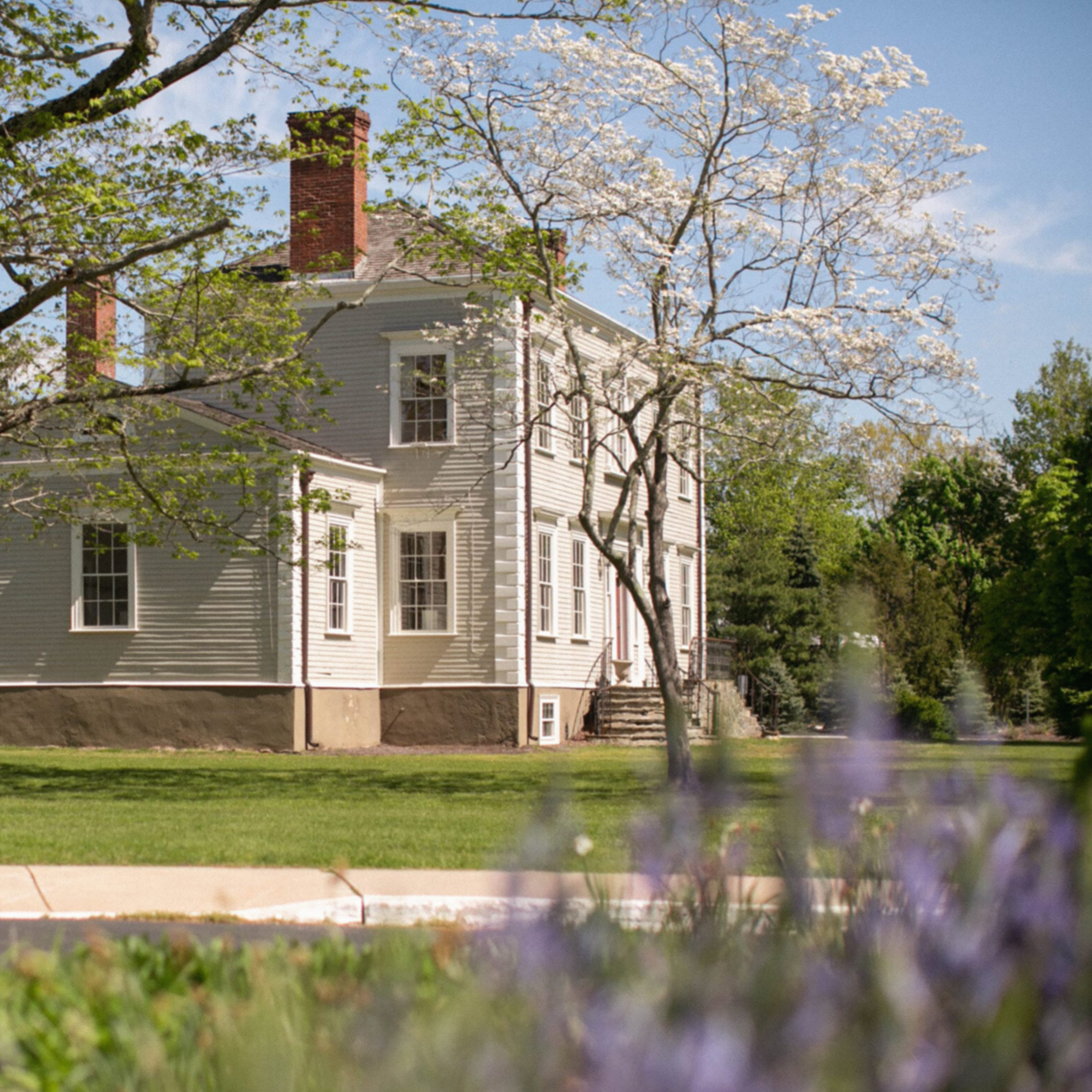 ORDER WEBSITE ASSETS SQR LYME9