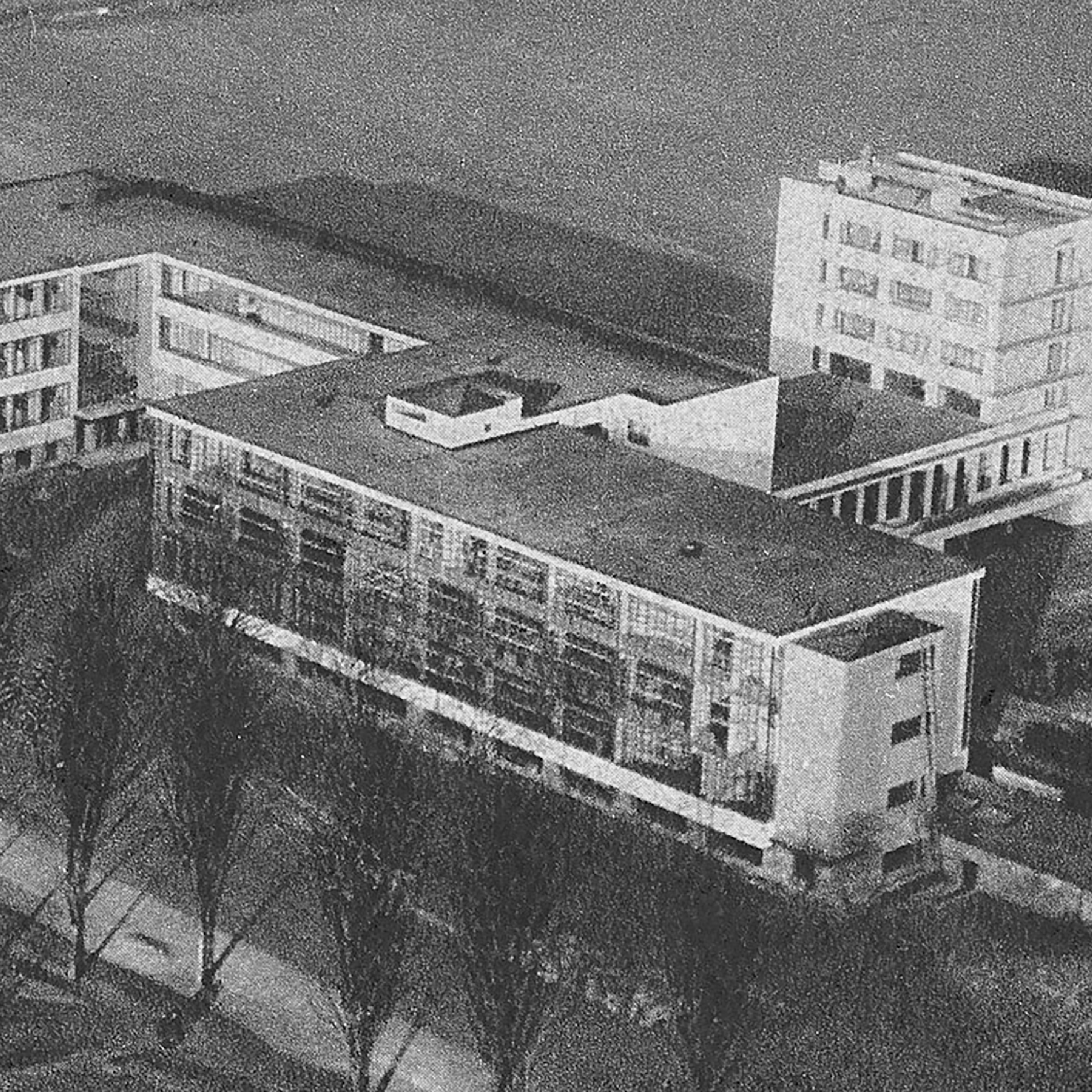 KNOLL WEBSITE 1x1 01