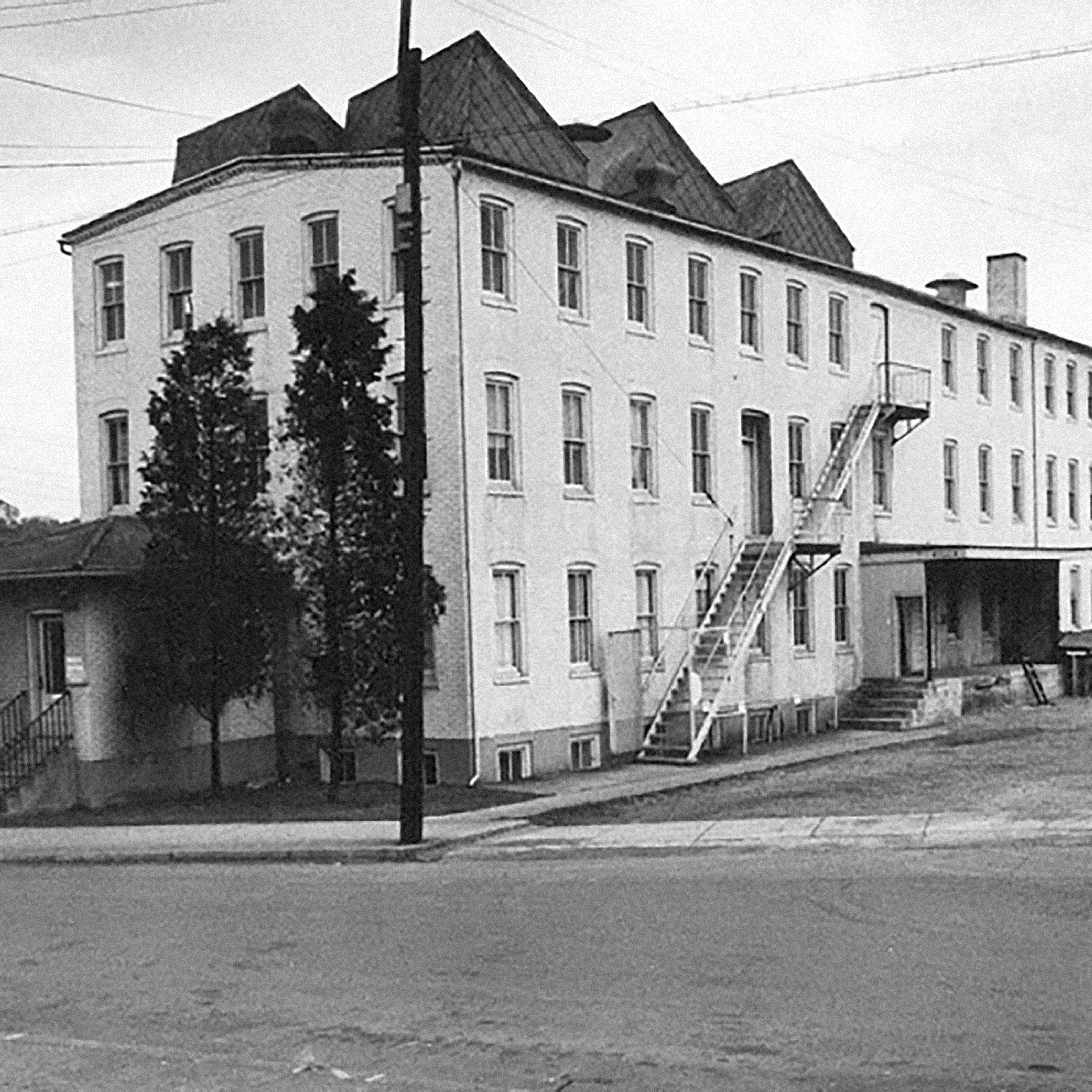 KNOLL WEBSITE 1x1 02