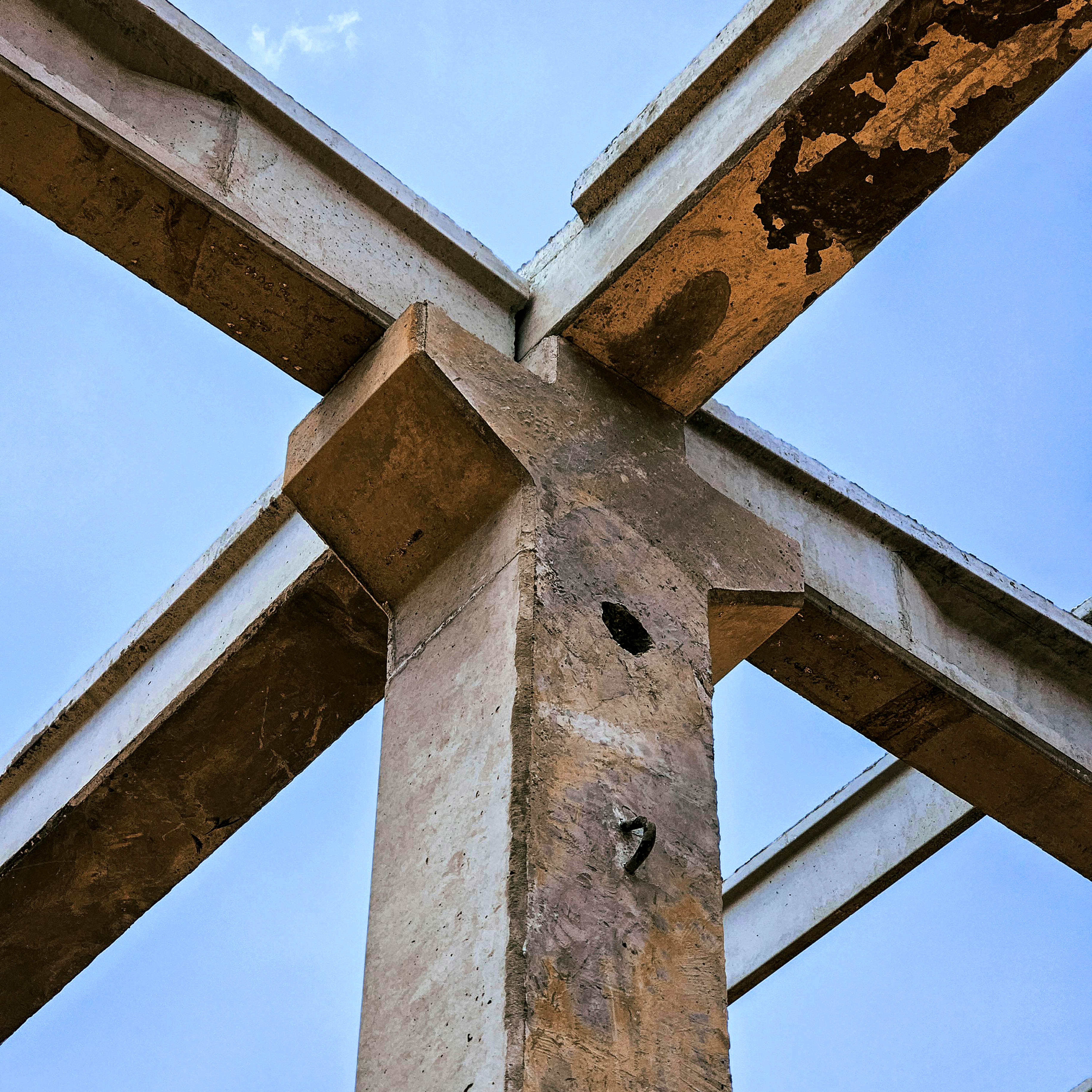 ORDER WEBSITE ASSETS 02 SQR SCHWARTZAPFEL 11