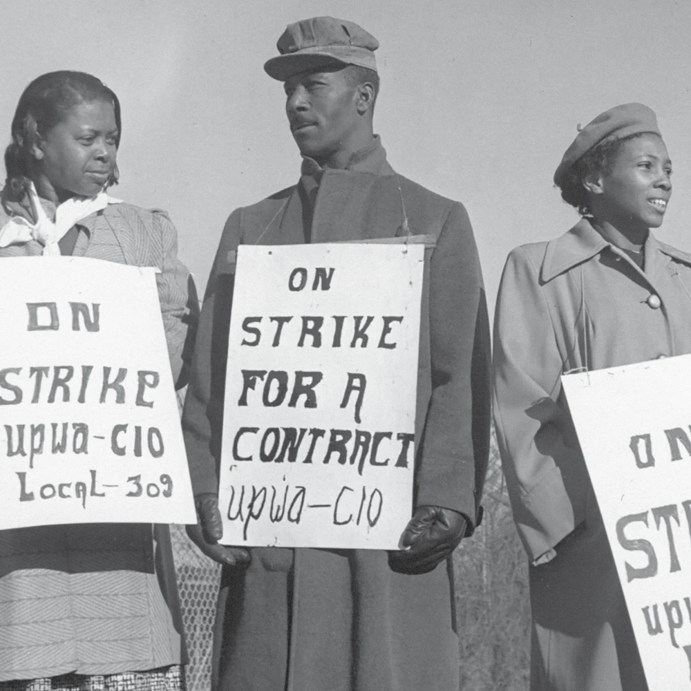 ORDER WEBSITE ASSETS SQR SCHWARTZAPFEL10