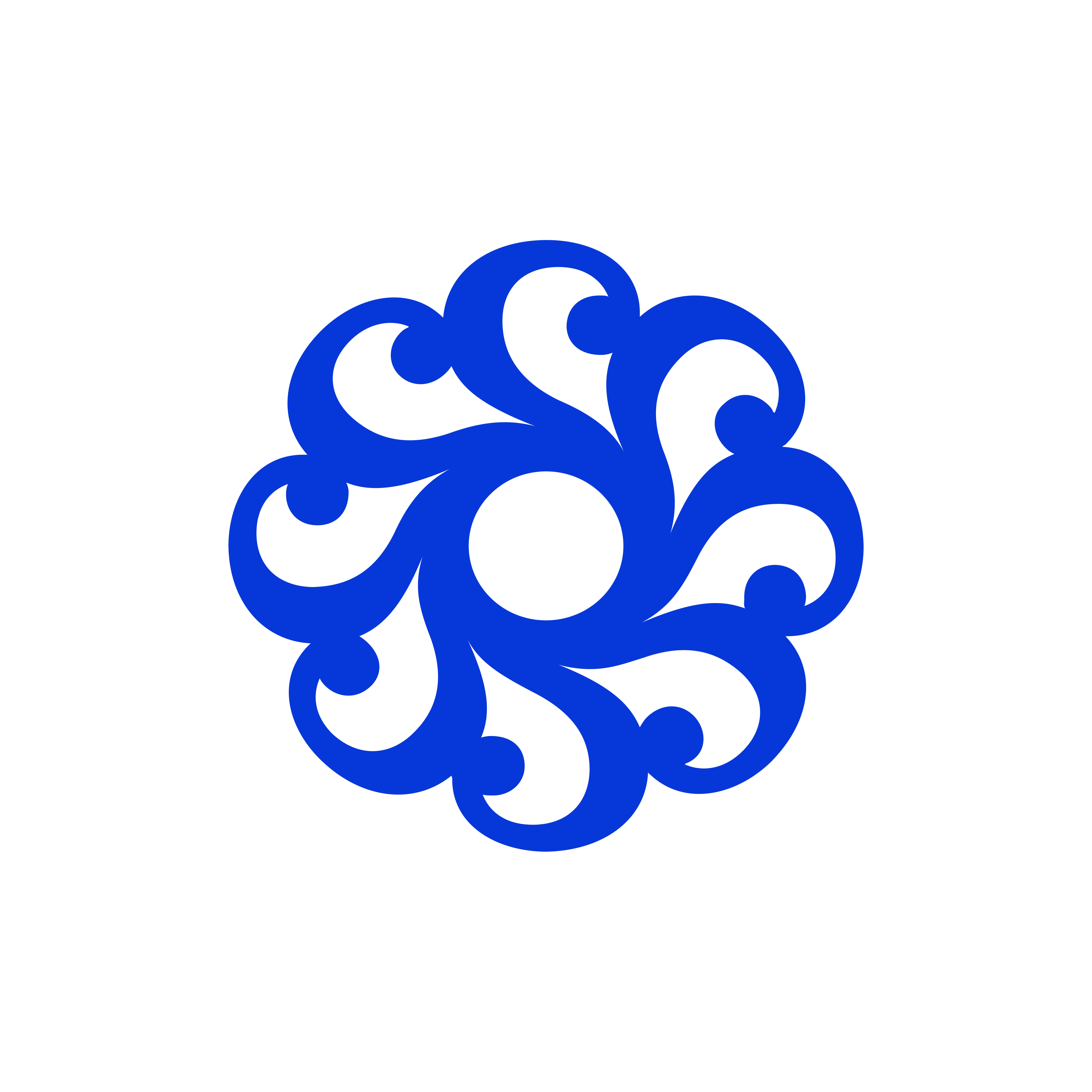 ORDER WEBSITE ASSETS SQR SCHWARTZAPFEL13