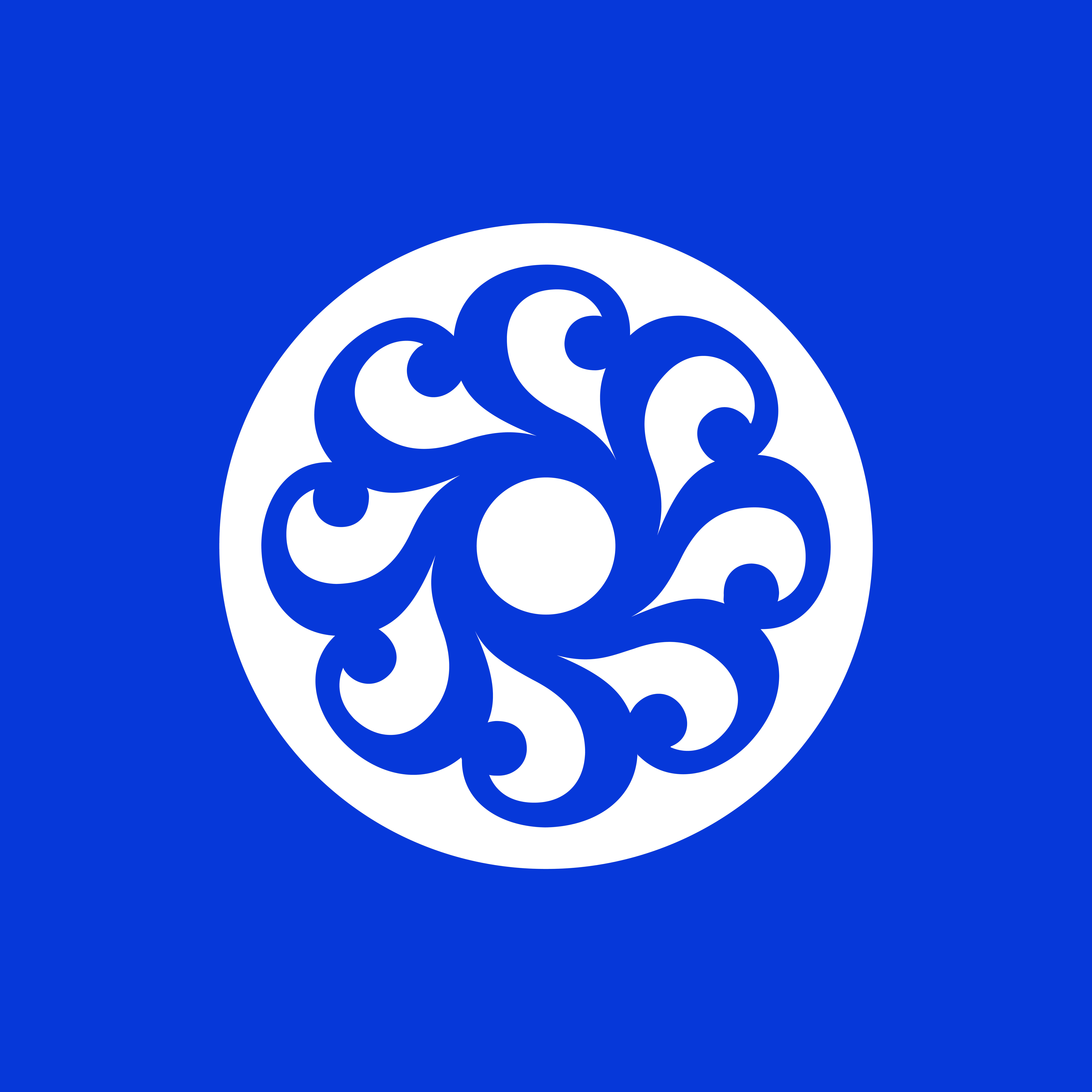 ORDER WEBSITE ASSETS SQR SCHWARTZAPFEL18